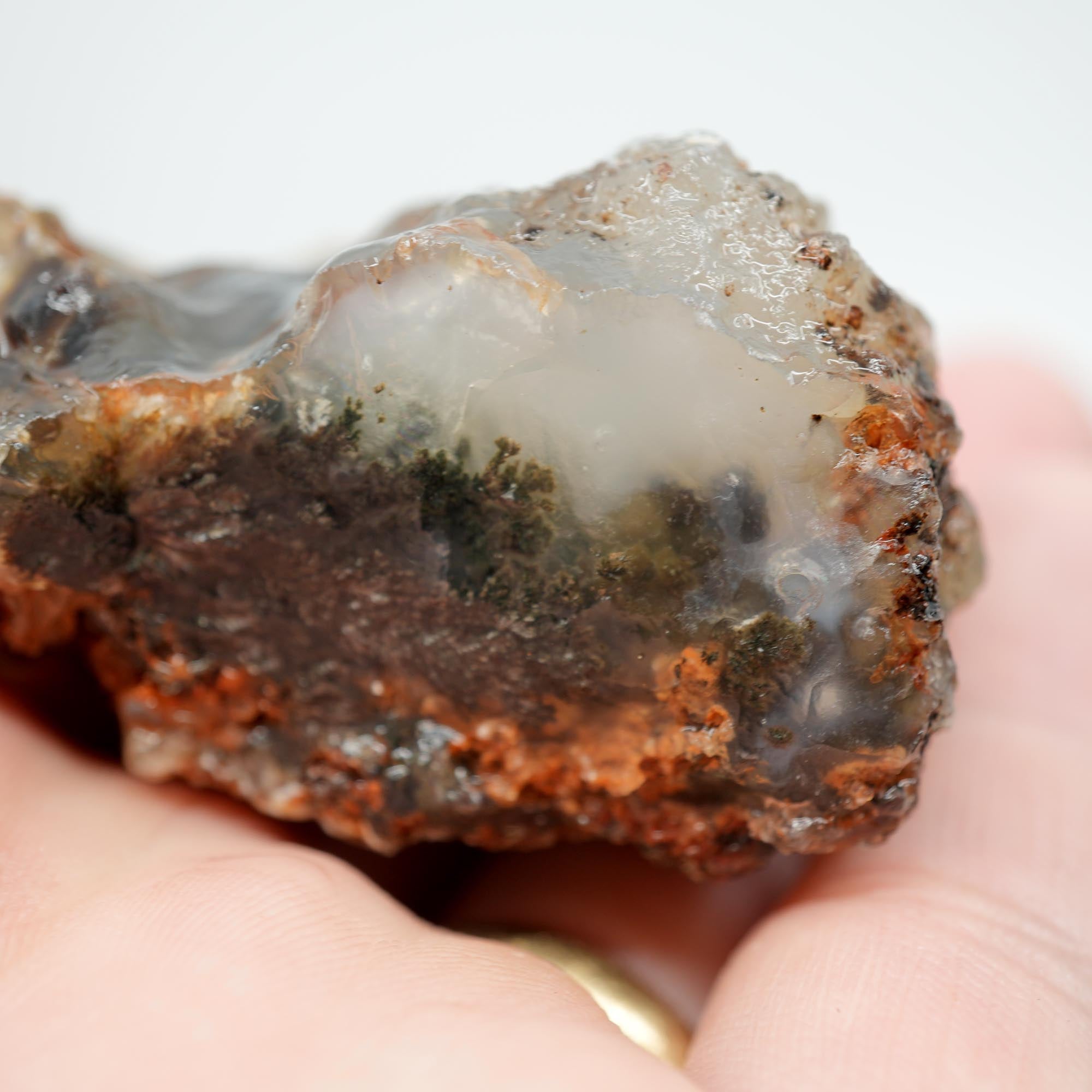 Ojinaga Plume Agate Rough - Black and Wispy White Plume
