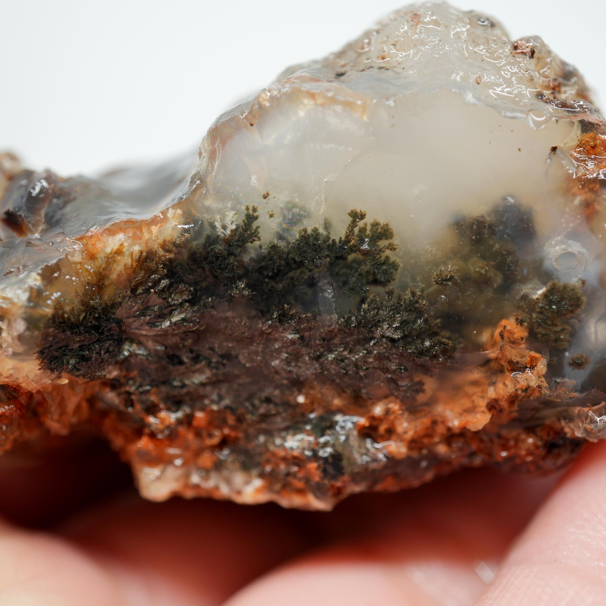 Ojinaga Plume Agate Rough - Black and Wispy White Plume
