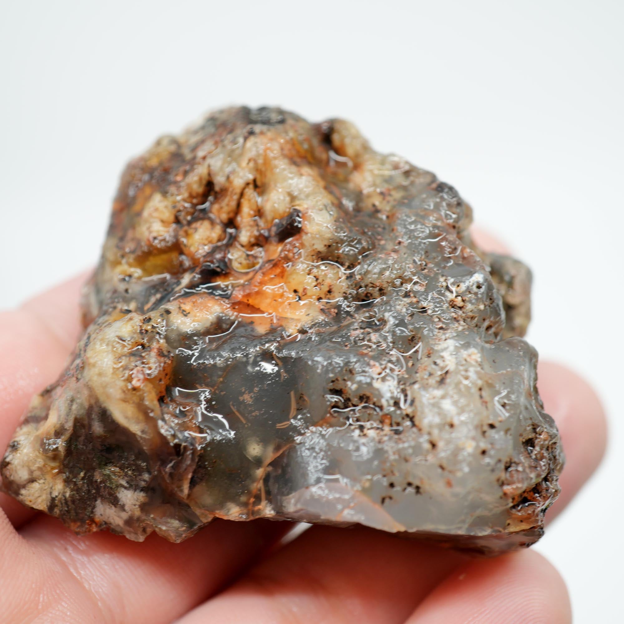 Ojinaga Plume Agate Rough - Black and Wispy White Plume
