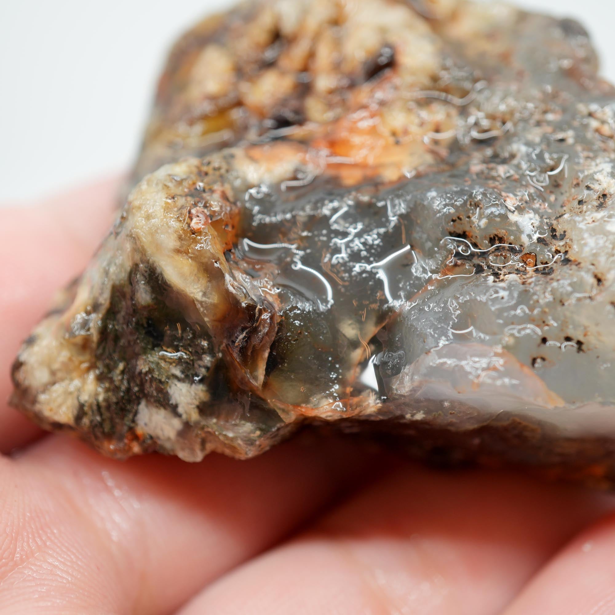 Ojinaga Plume Agate Rough - Black and Wispy White Plume