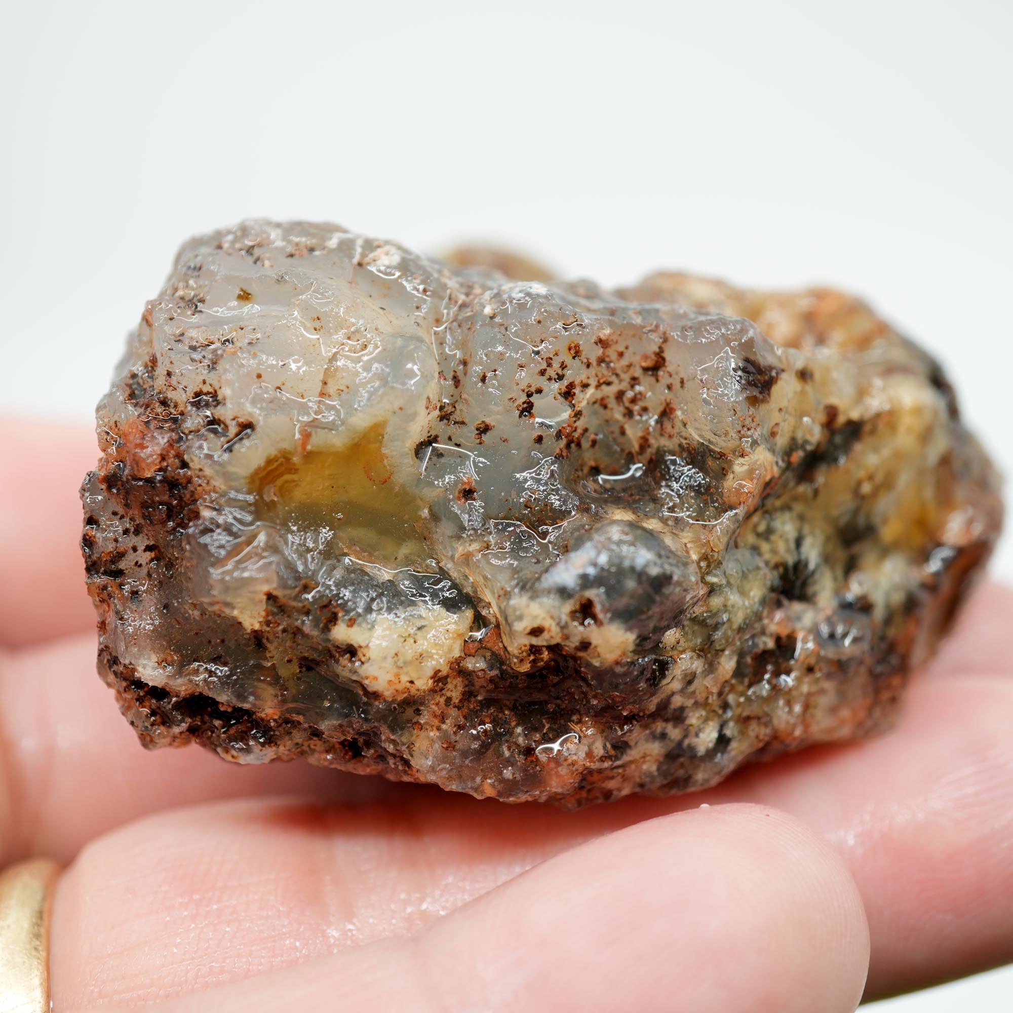 Ojinaga Plume Agate Rough - Black and Wispy White Plume