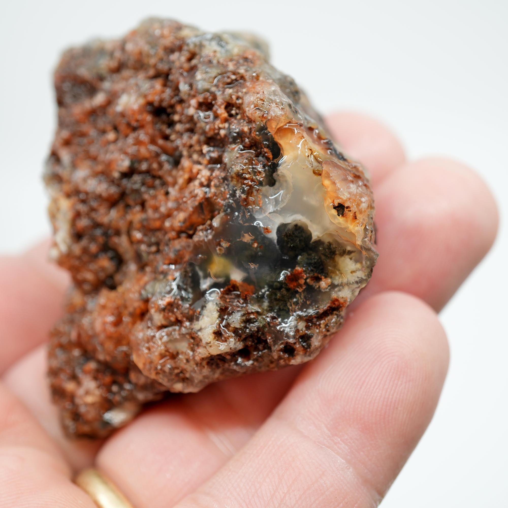 Ojinaga Plume Agate Rough - Black and Wispy White Plume
