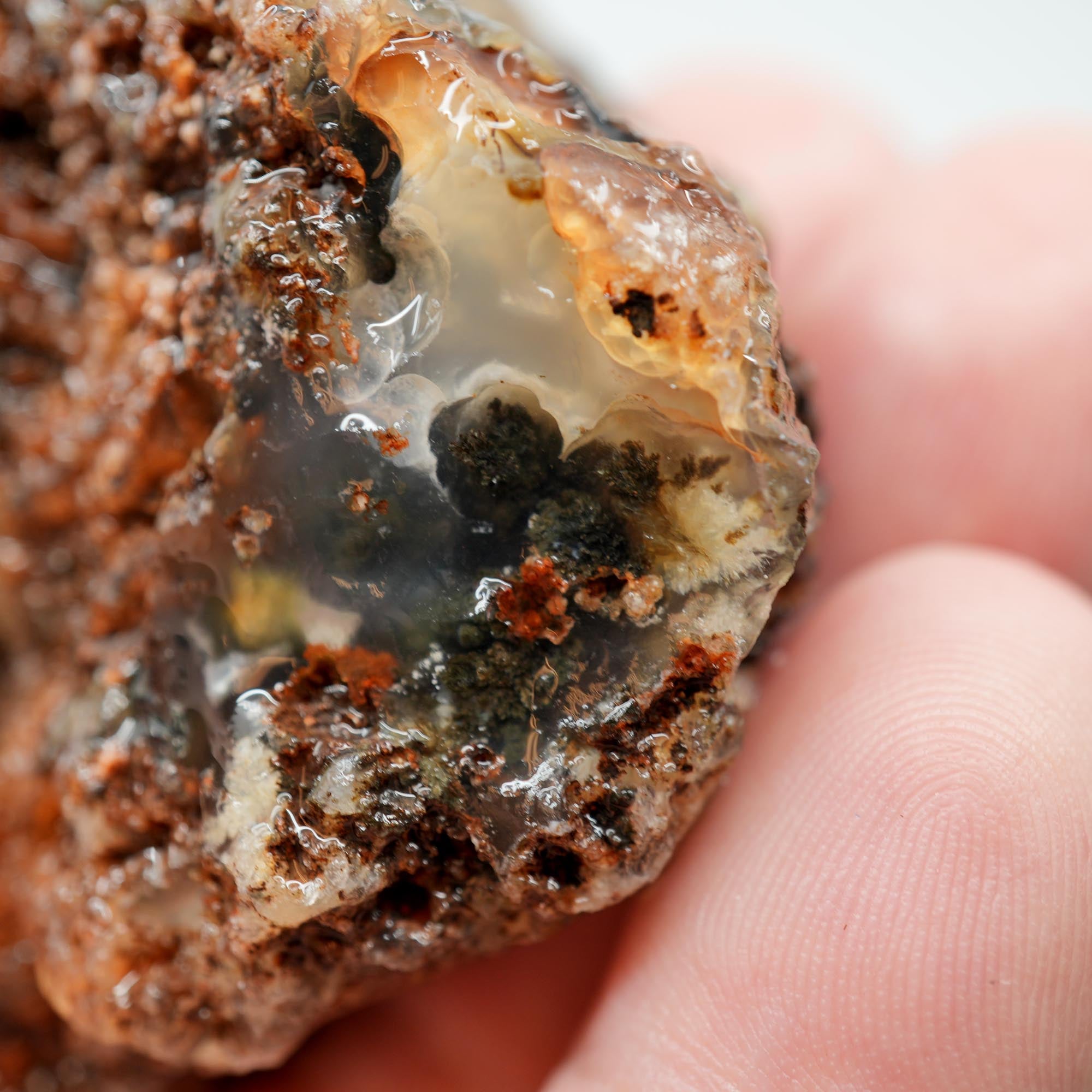 Ojinaga Plume Agate Rough - Black and Wispy White Plume