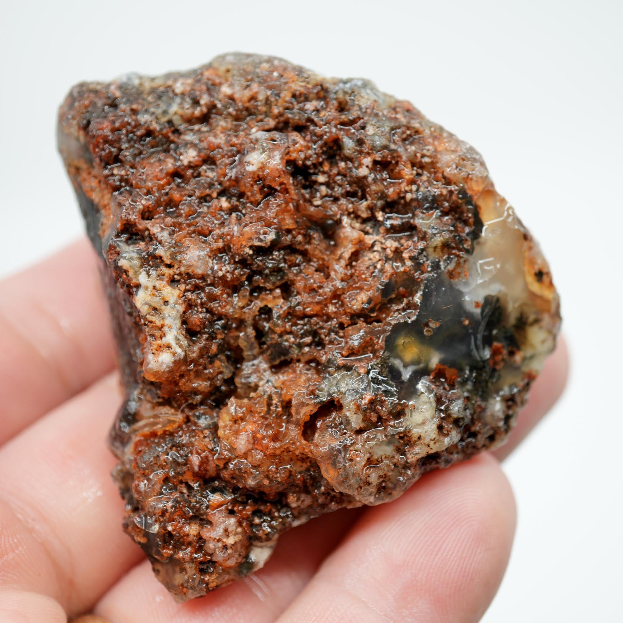 Ojinaga Plume Agate Rough - Black and Wispy White Plume