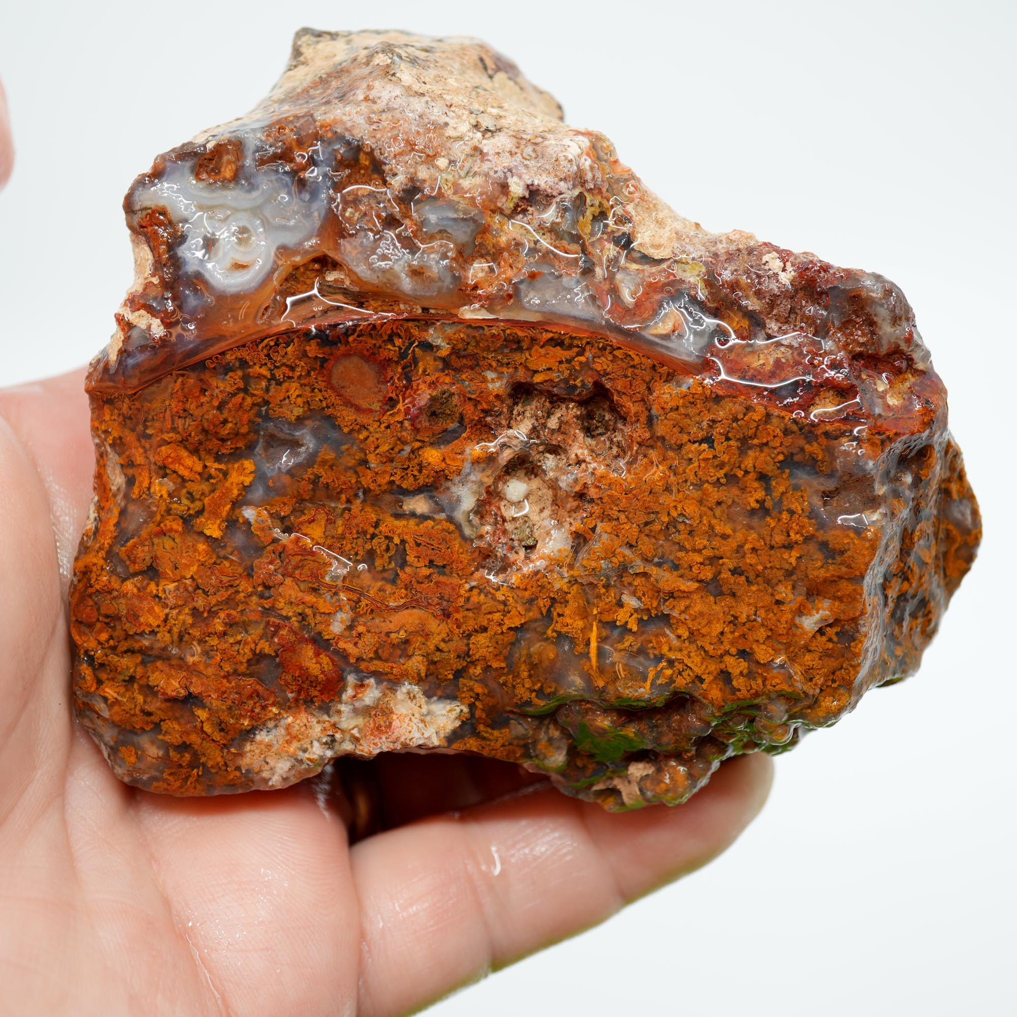 San Carlos Agate Rough - Orange Butterscotch Moss Cutter