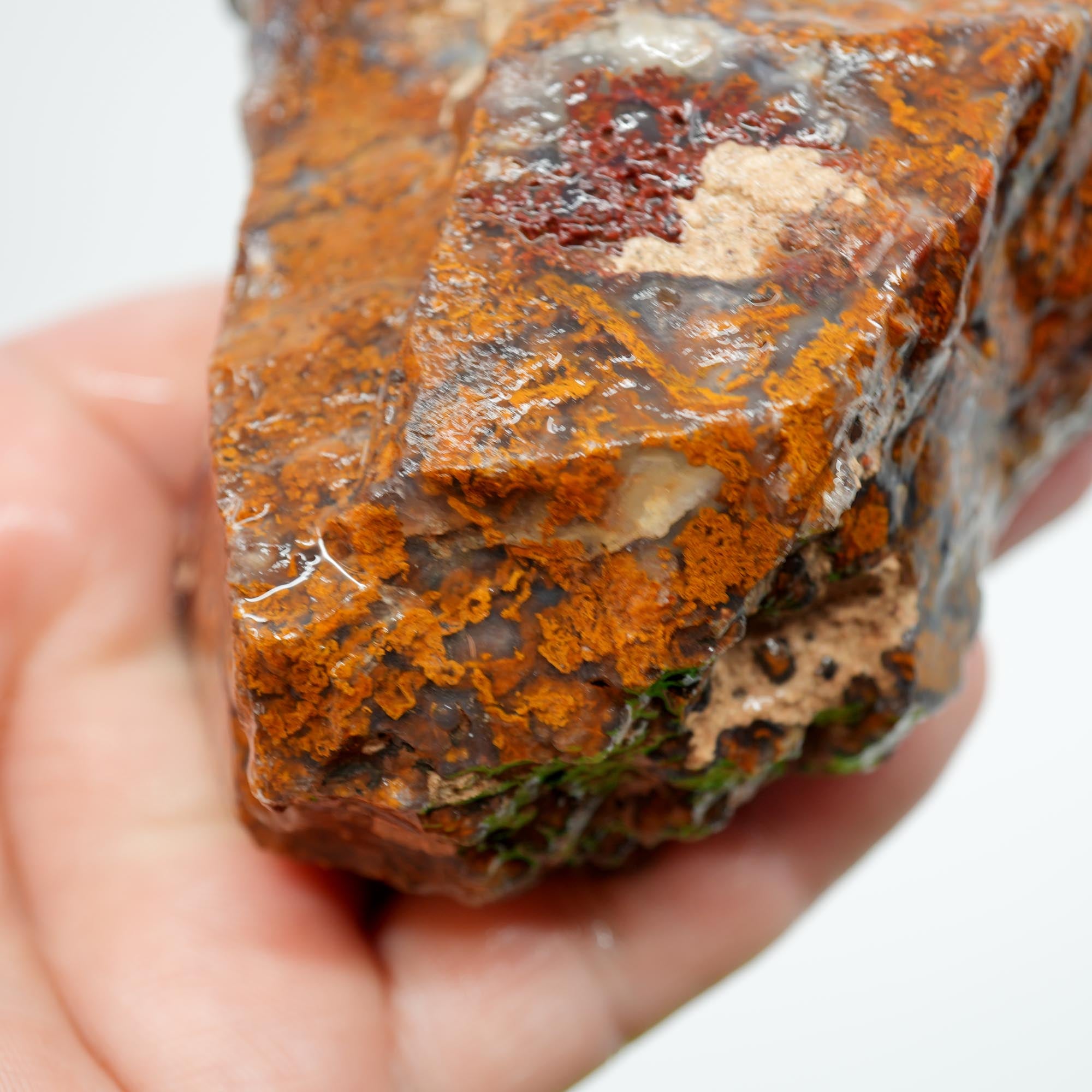 San Carlos Agate Rough - Orange Butterscotch Moss Cutter