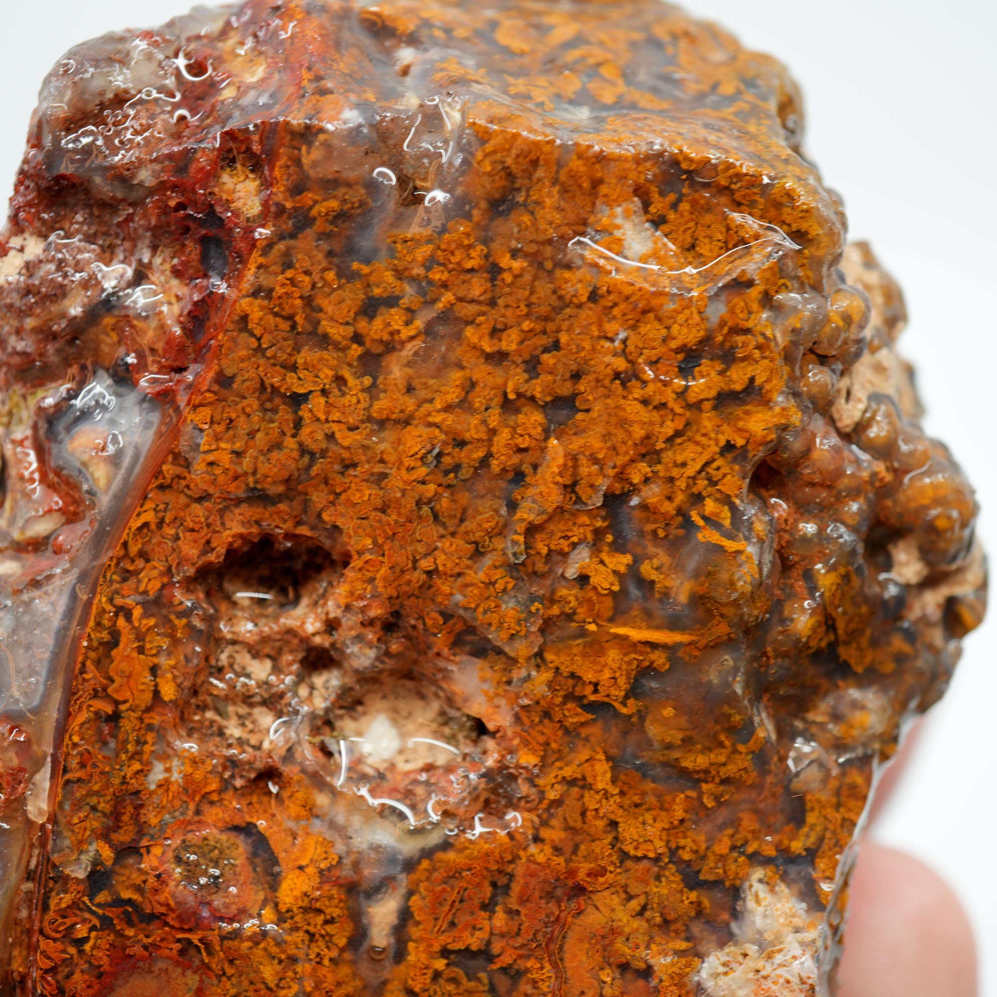 San Carlos Agate Rough - Orange Butterscotch Moss Cutter