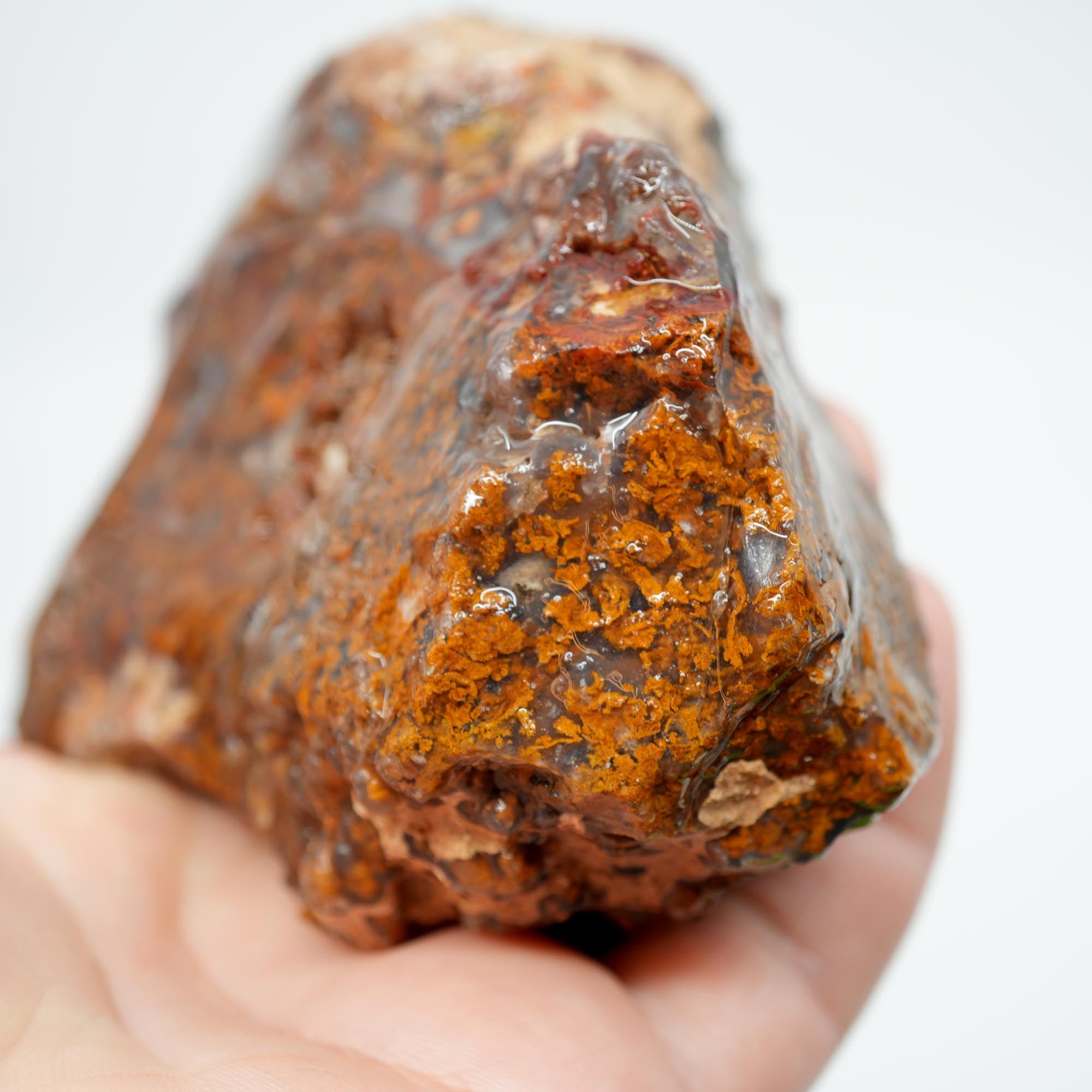 San Carlos Agate Rough - Orange Butterscotch Moss Cutter