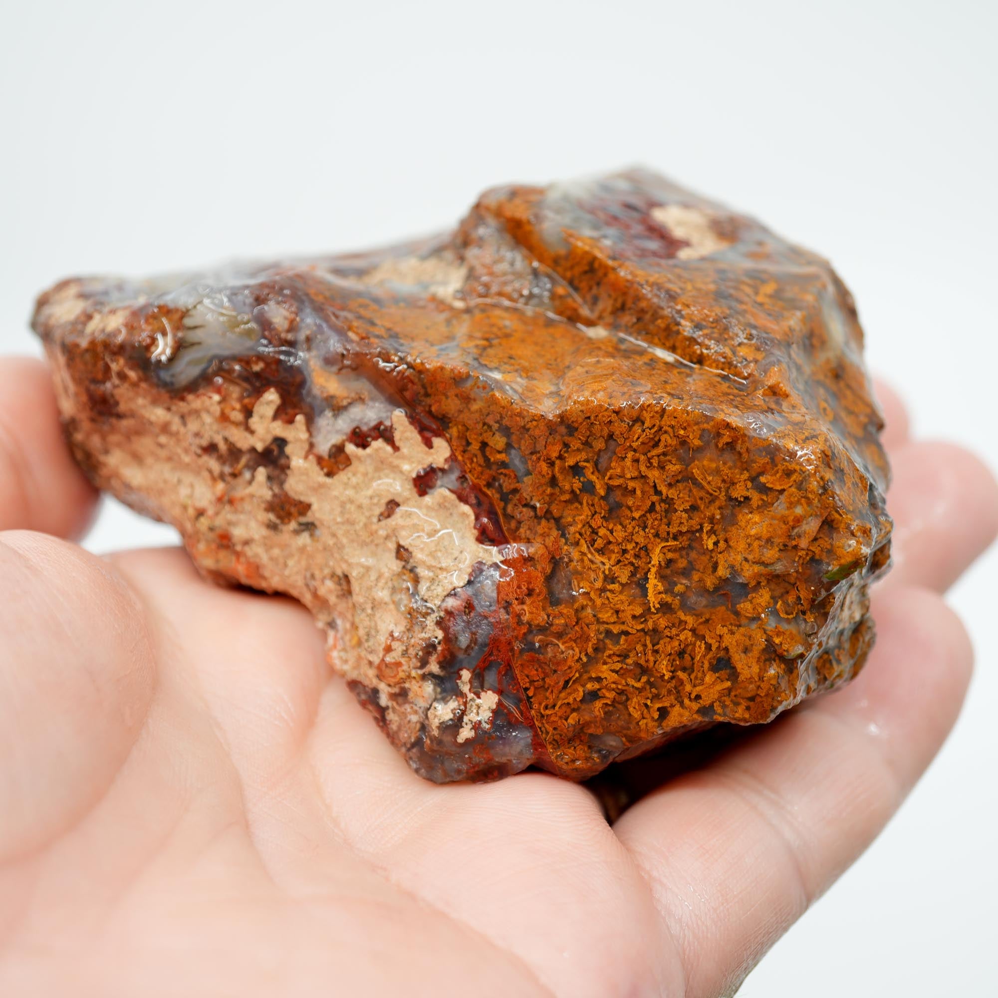 San Carlos Agate Rough - Orange Butterscotch Moss Cutter