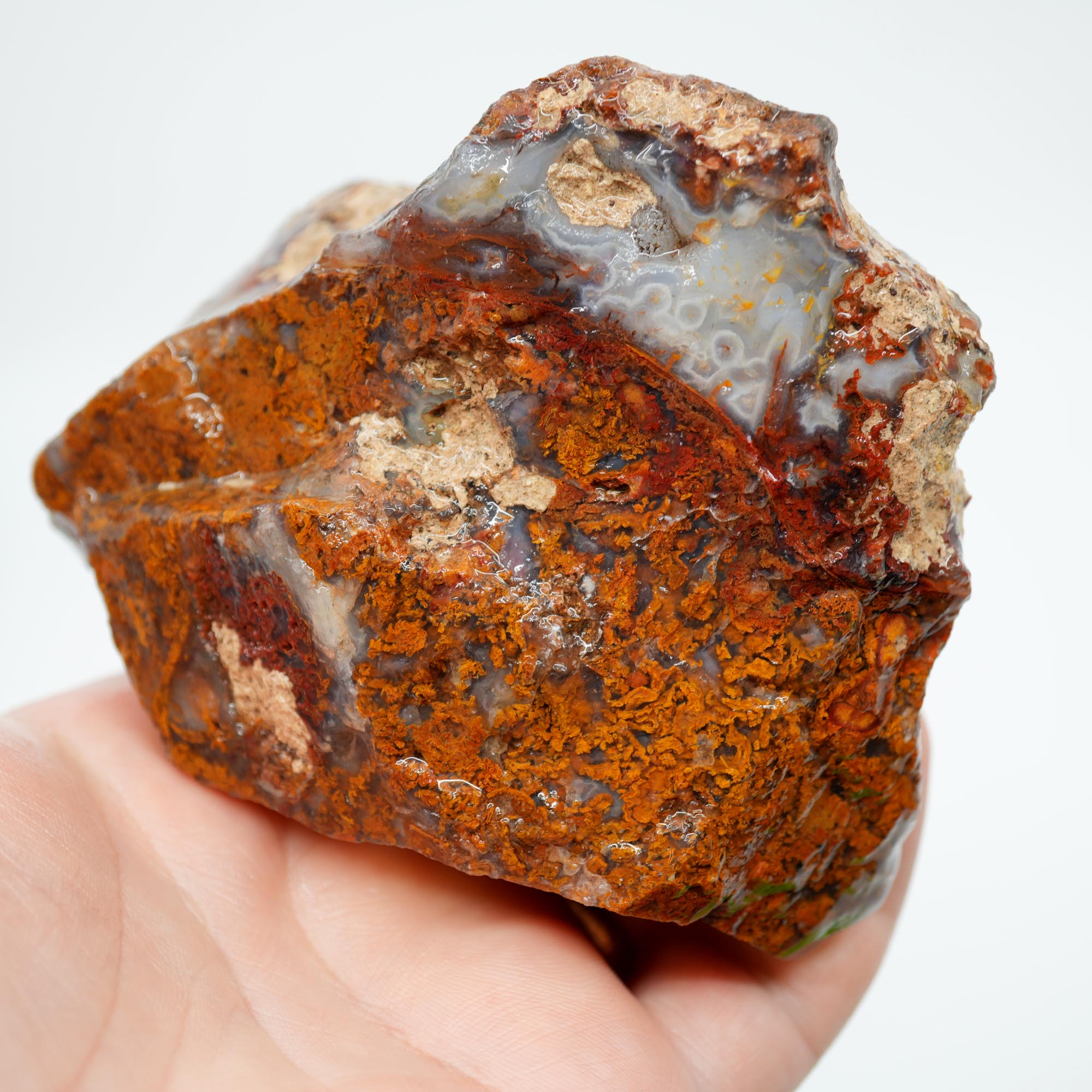 San Carlos Agate Rough - Orange Butterscotch Moss Cutter