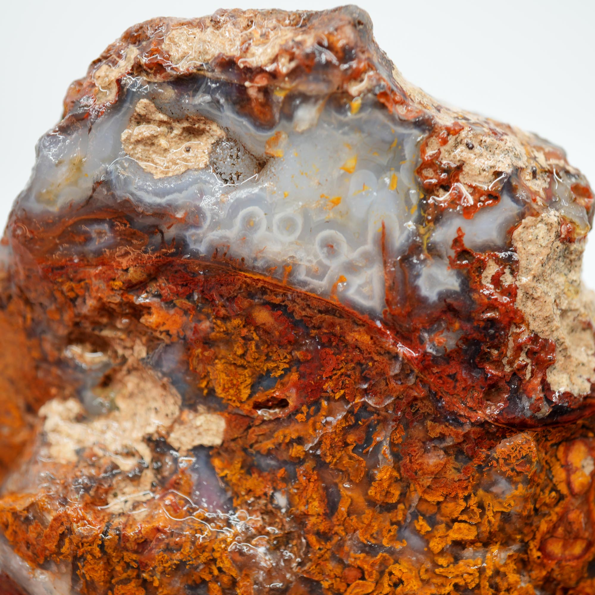 San Carlos Agate Rough - Orange Butterscotch Moss Cutter