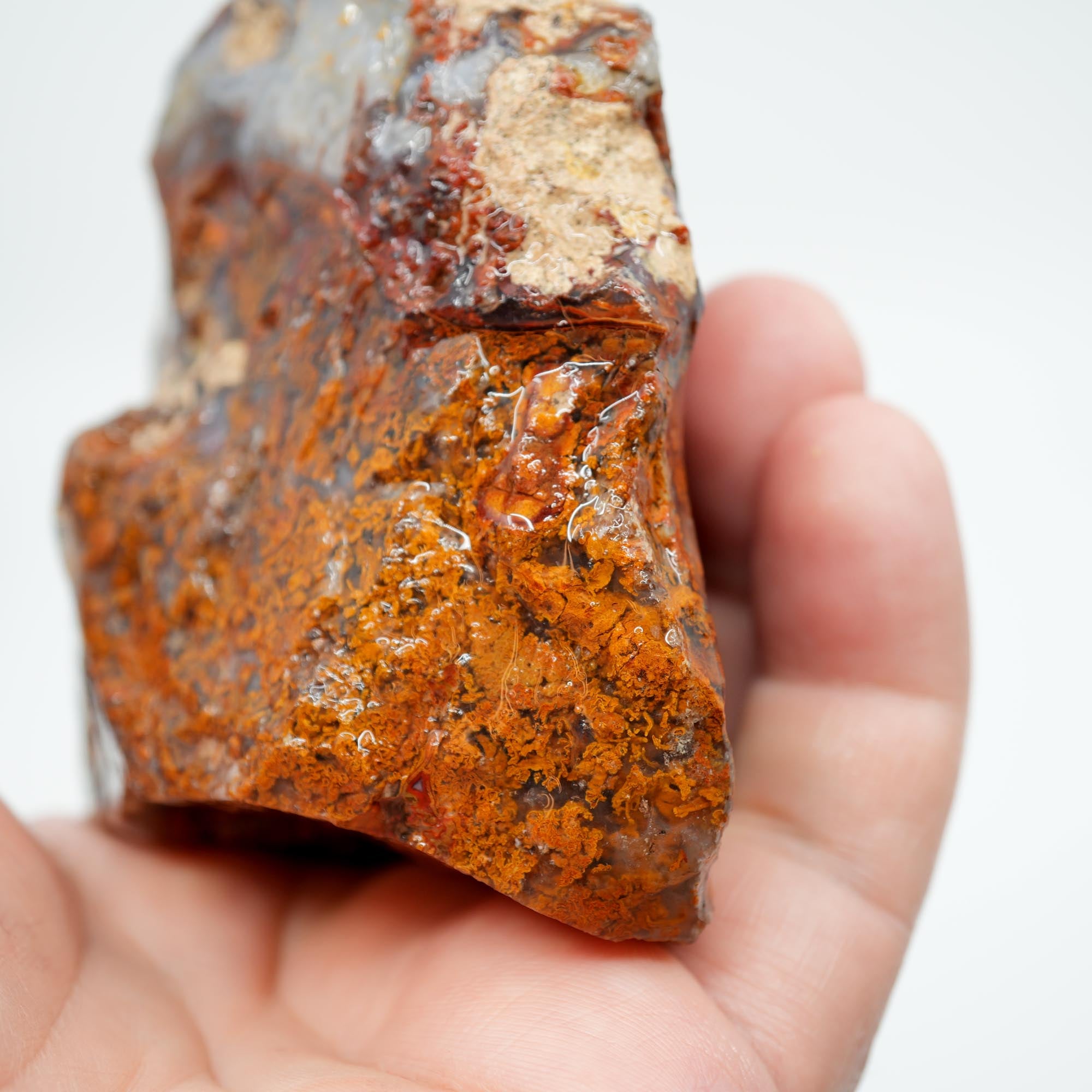 San Carlos Agate Rough - Orange Butterscotch Moss Cutter