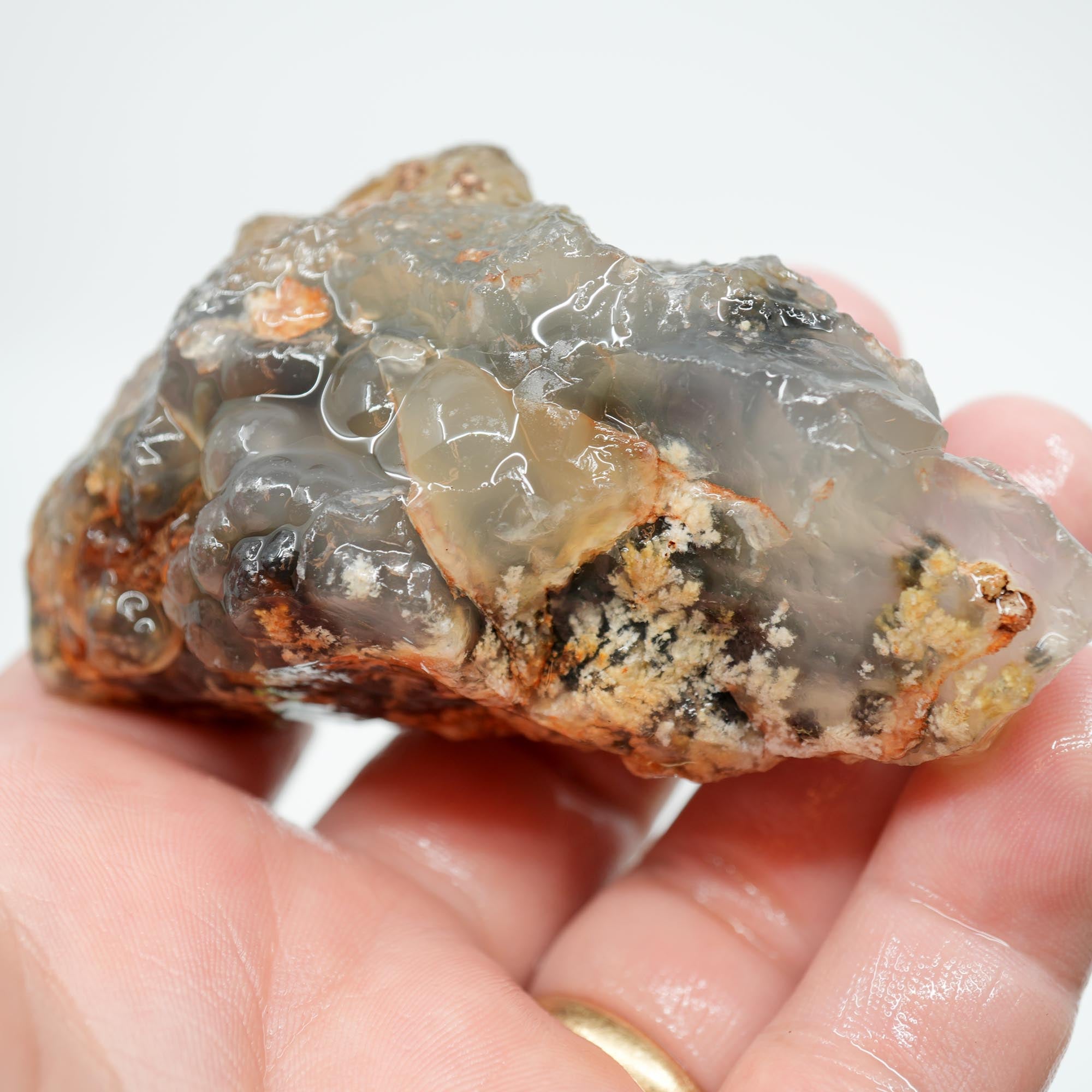 Ojinaga Plume Agate Rough - Wintry White Plume with Botryoidal Top