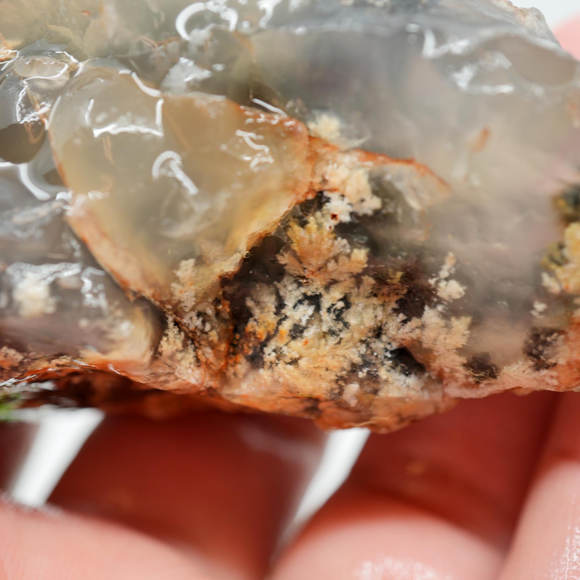 Ojinaga Plume Agate Rough - Wintry White Plume with Botryoidal Top
