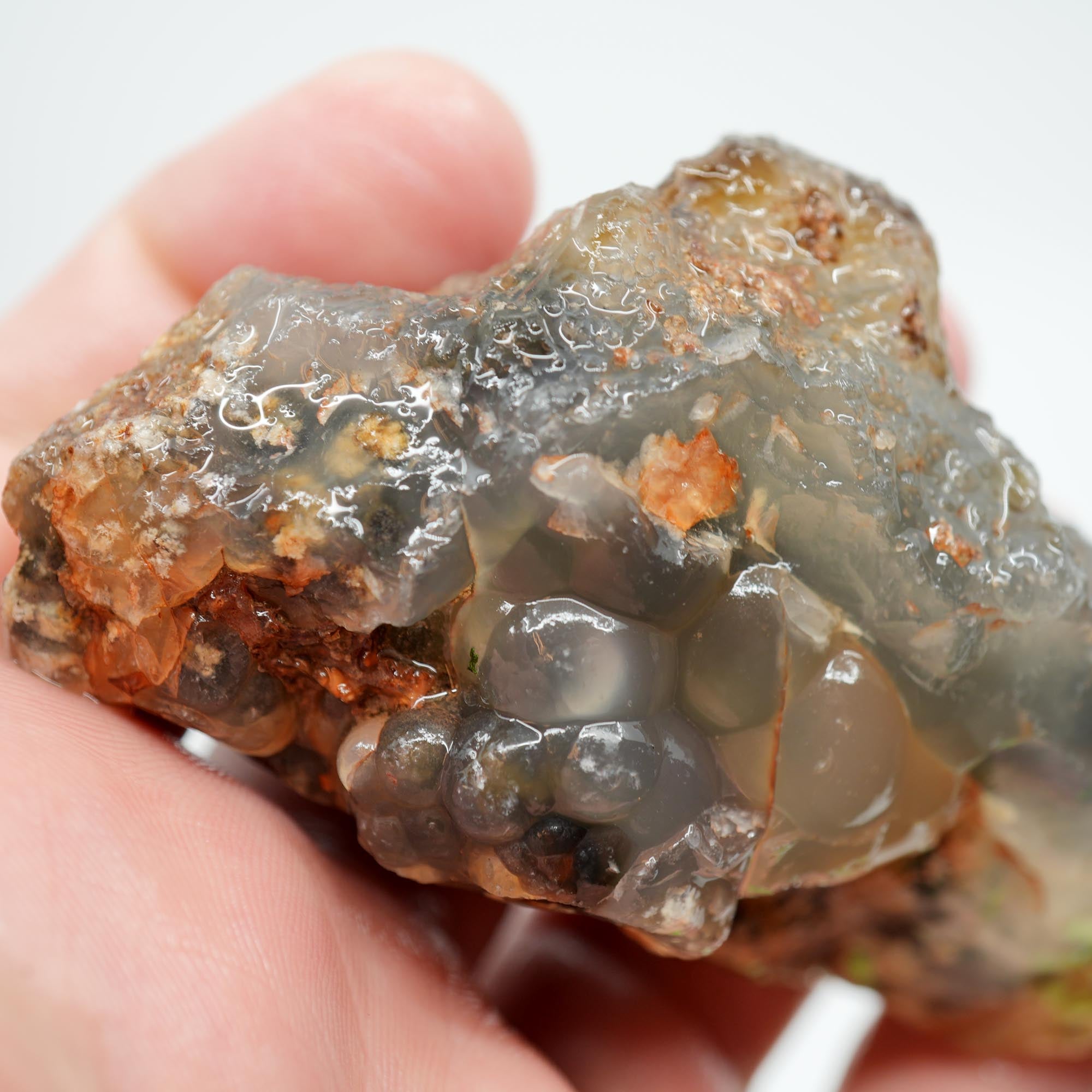 Ojinaga Plume Agate Rough - Wintry White Plume with Botryoidal Top