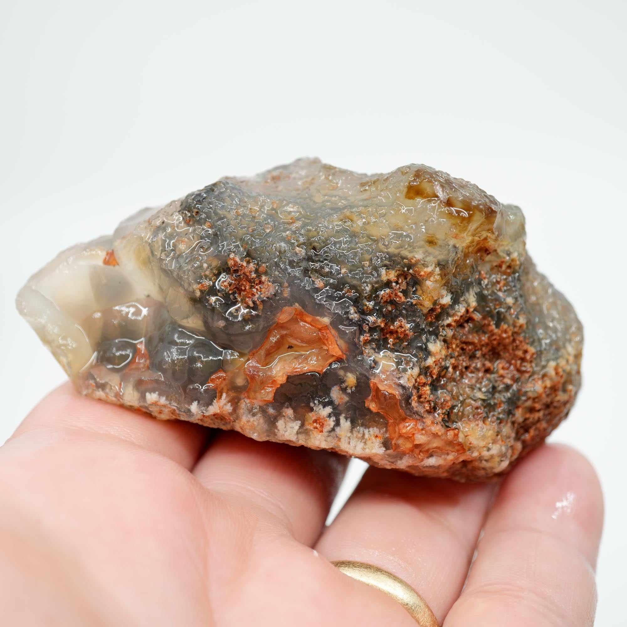 Ojinaga Plume Agate Rough - Wintry White Plume with Botryoidal Top