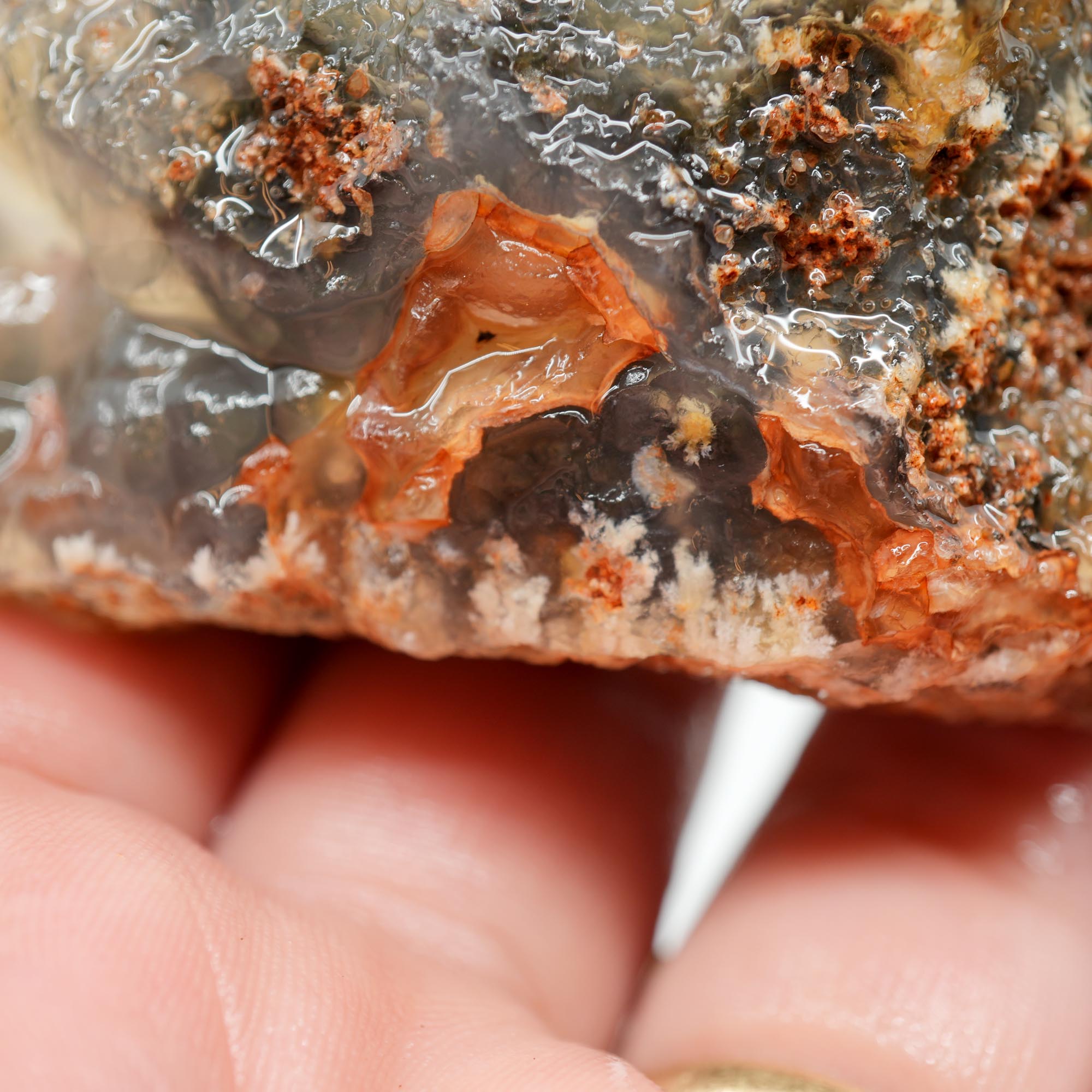 Ojinaga Plume Agate Rough - Wintry White Plume with Botryoidal Top