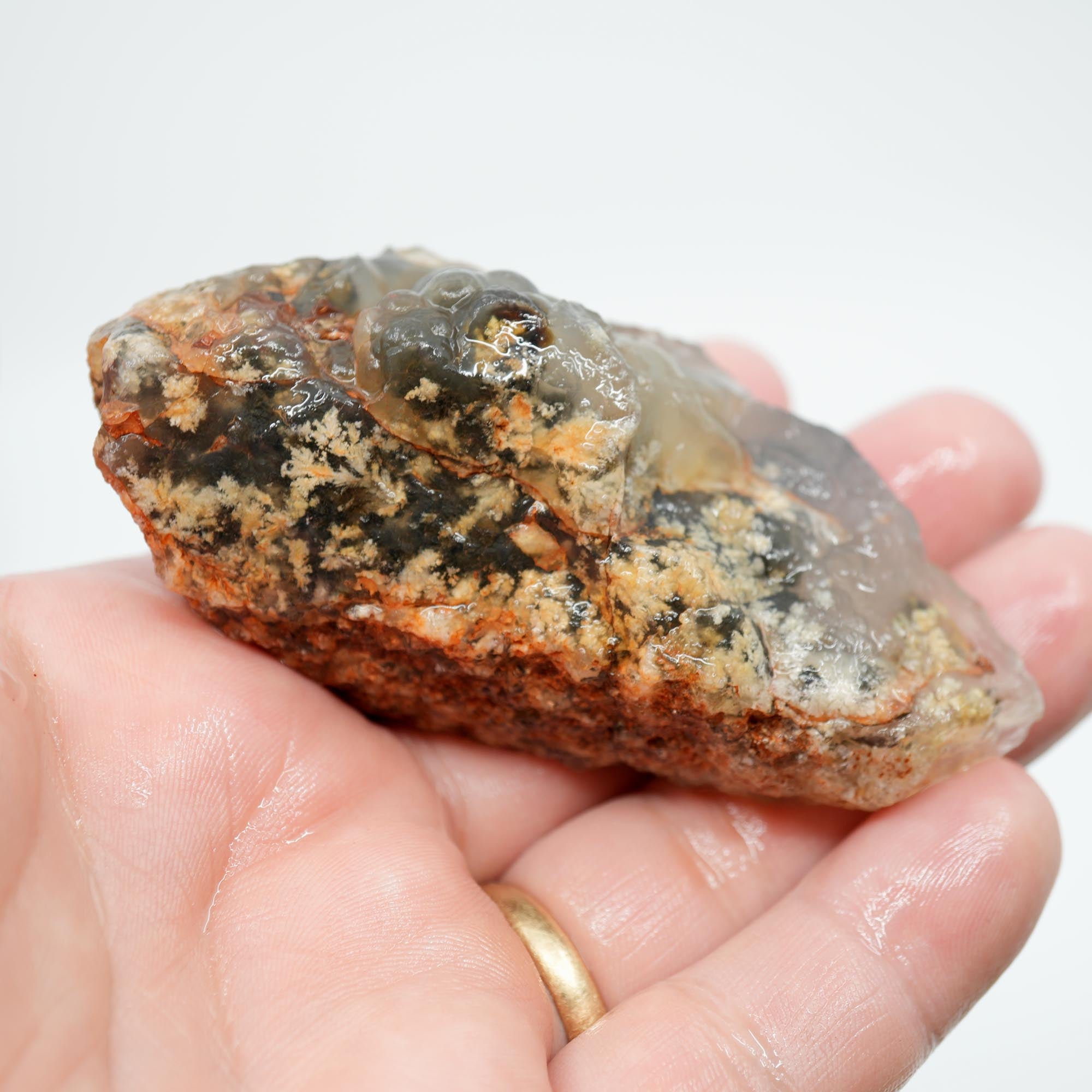Ojinaga Plume Agate Rough - Wintry White Plume with Botryoidal Top