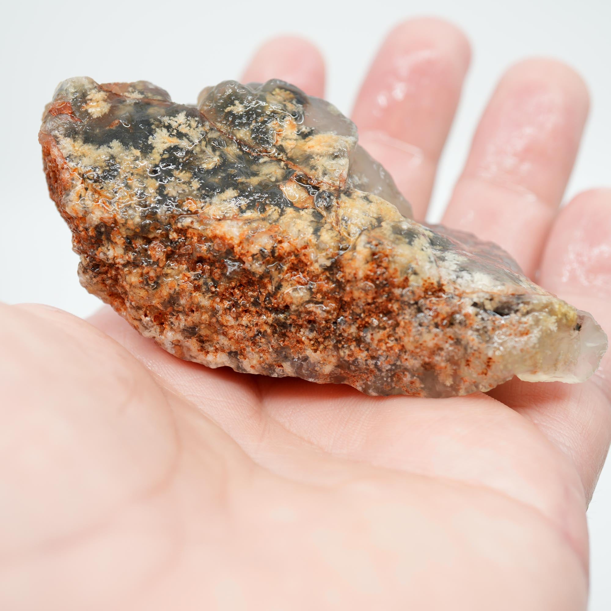 Ojinaga Plume Agate Rough - Wintry White Plume with Botryoidal Top