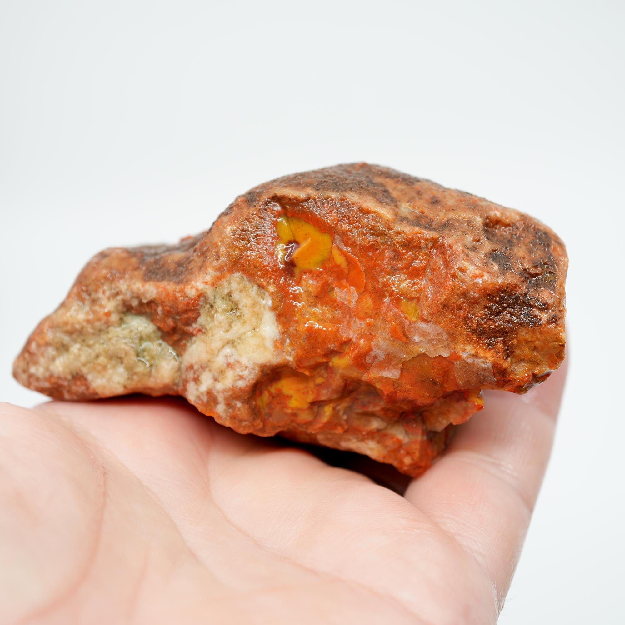Alabama Paint Agate Rough - Creamy Golden Flow with Bright Red Circle
