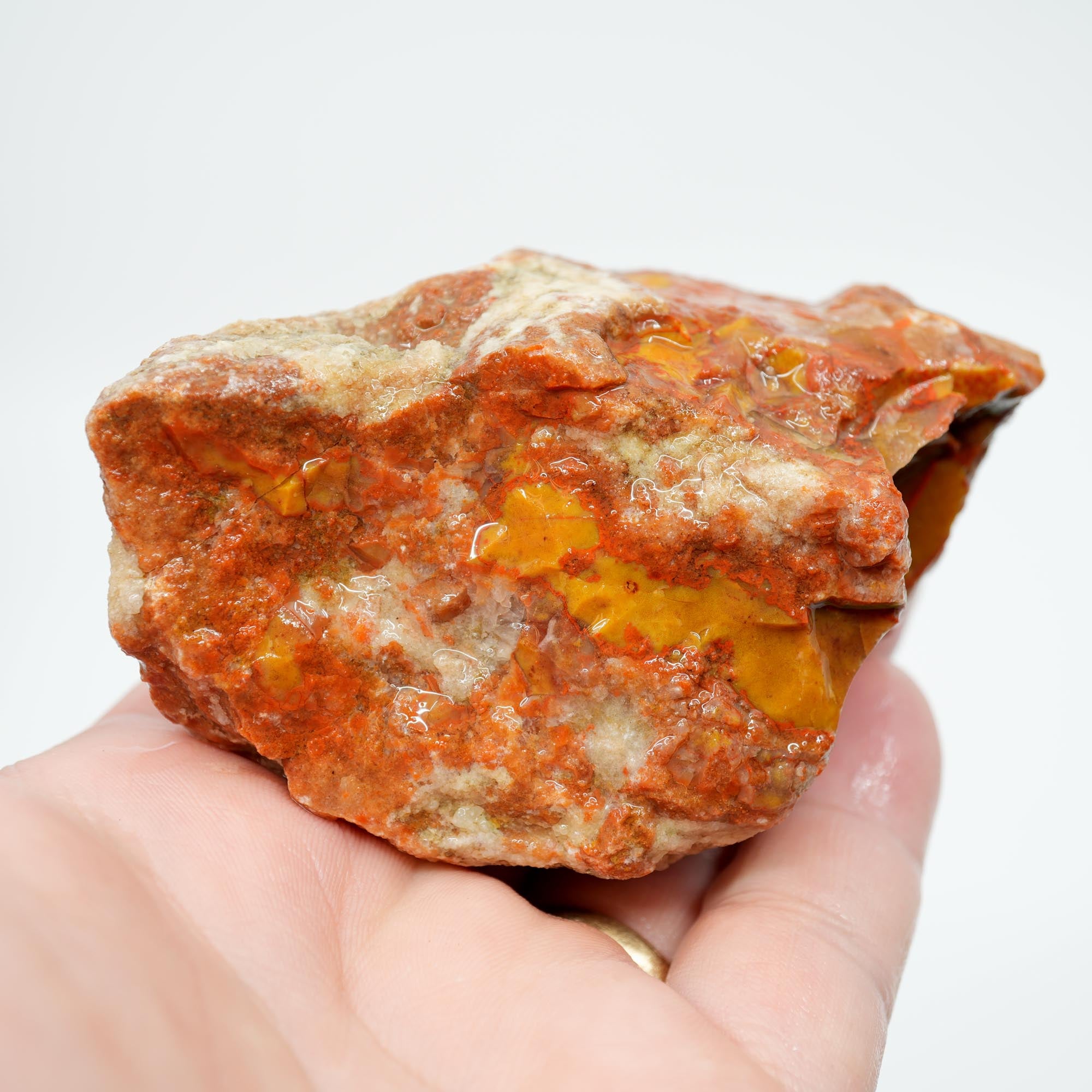 Alabama Paint Agate Rough - Creamy Golden Flow with Bright Red Circle