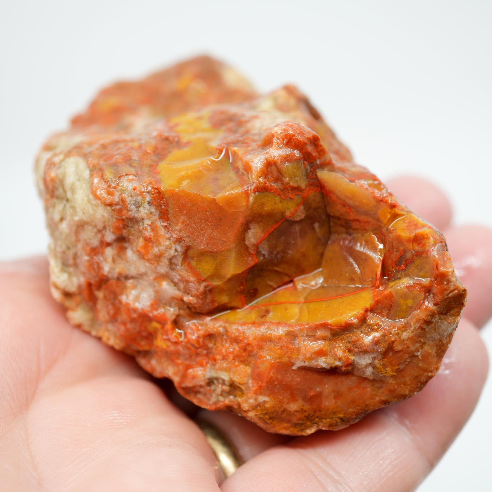 Alabama Paint Agate Rough - Creamy Golden Flow with Bright Red Circle