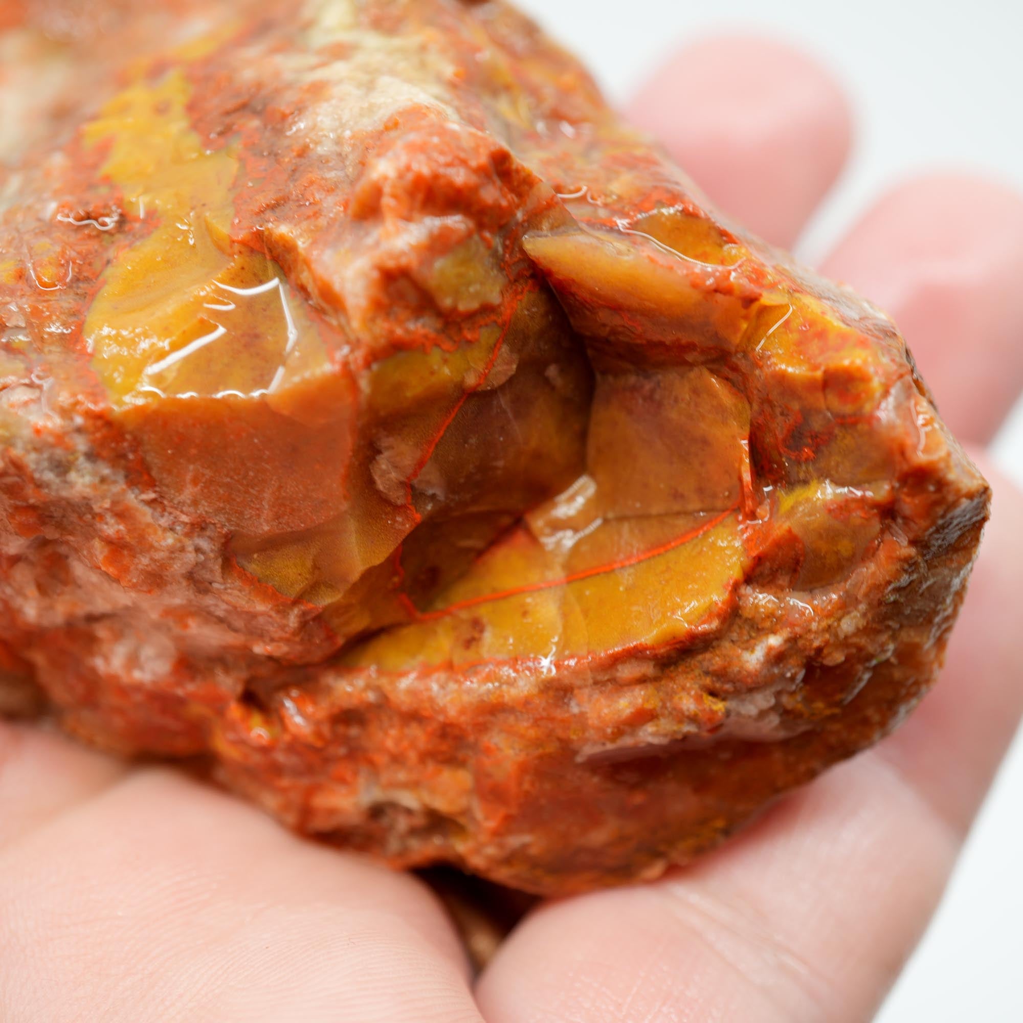 Alabama Paint Agate Rough - Creamy Golden Flow with Bright Red Circle