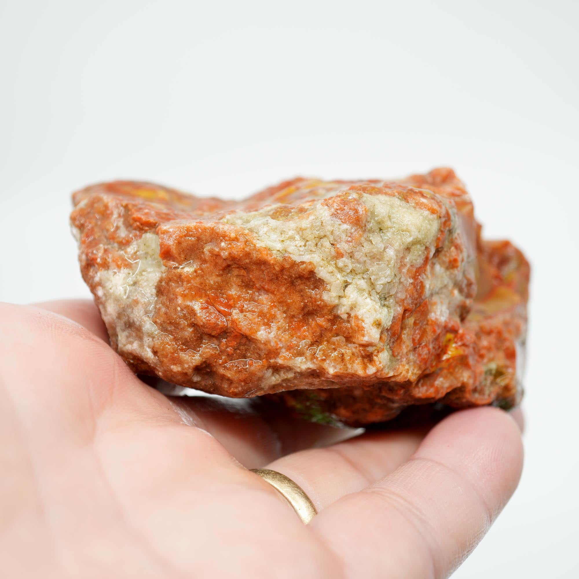 Alabama Paint Agate Rough - Creamy Golden Flow with Bright Red Circle