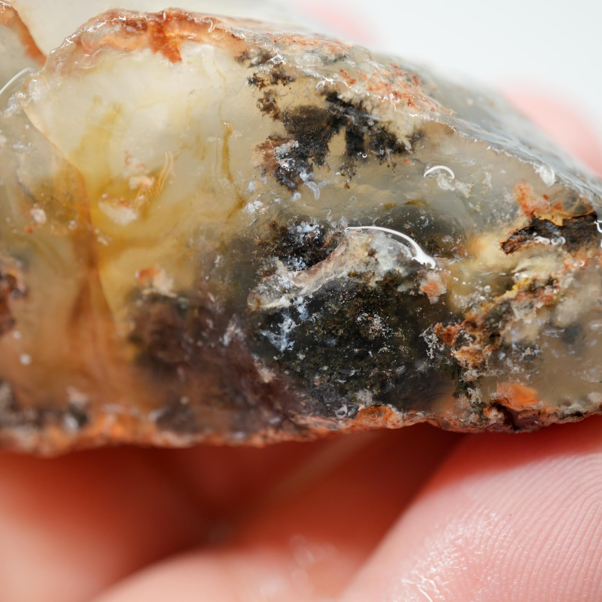 Ojinaga Plume Agate Rough - Black Plume with Cloud Inclusions