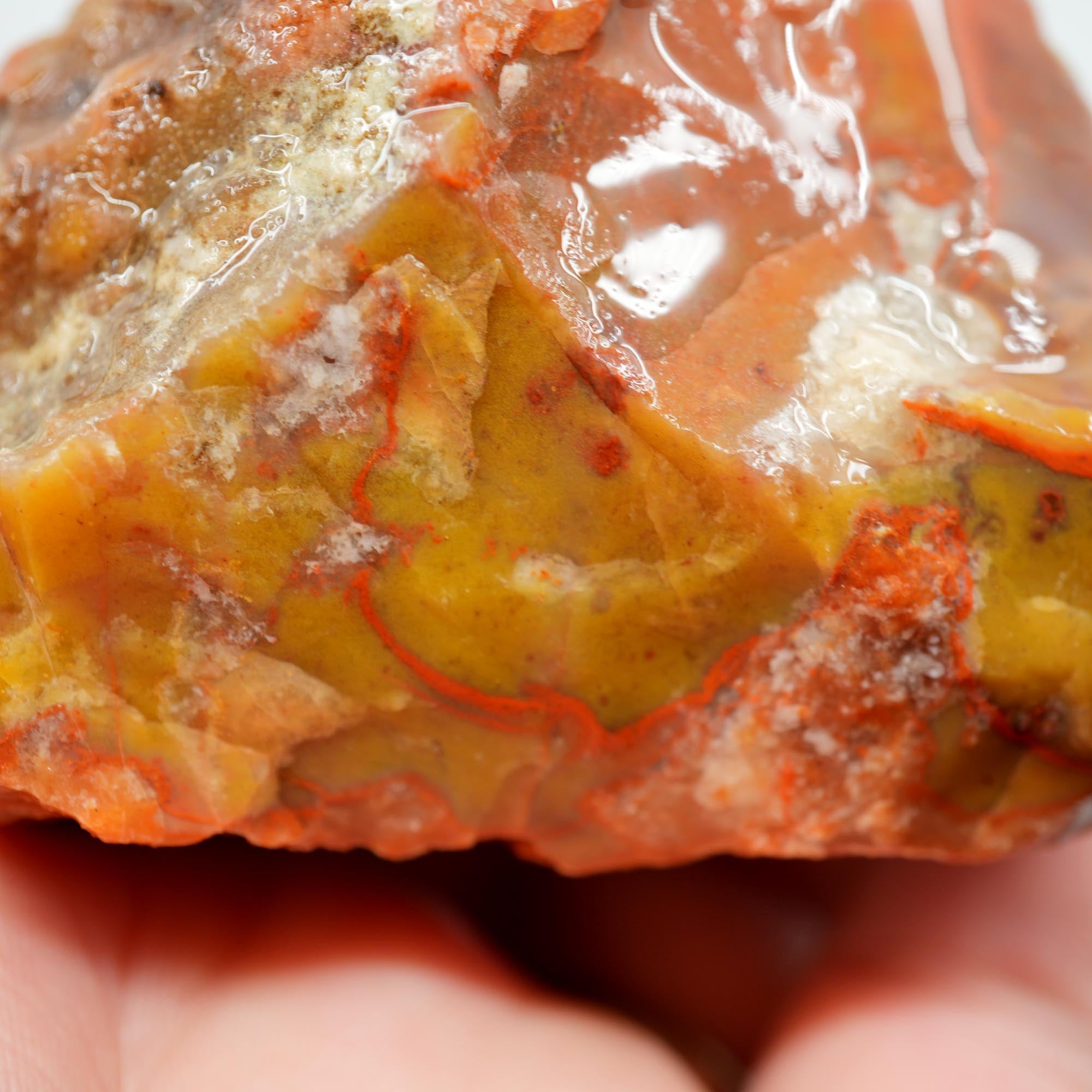 Alabama Paint Agate Rough - Creamy Butterscotch with Carey-Like Red Waves