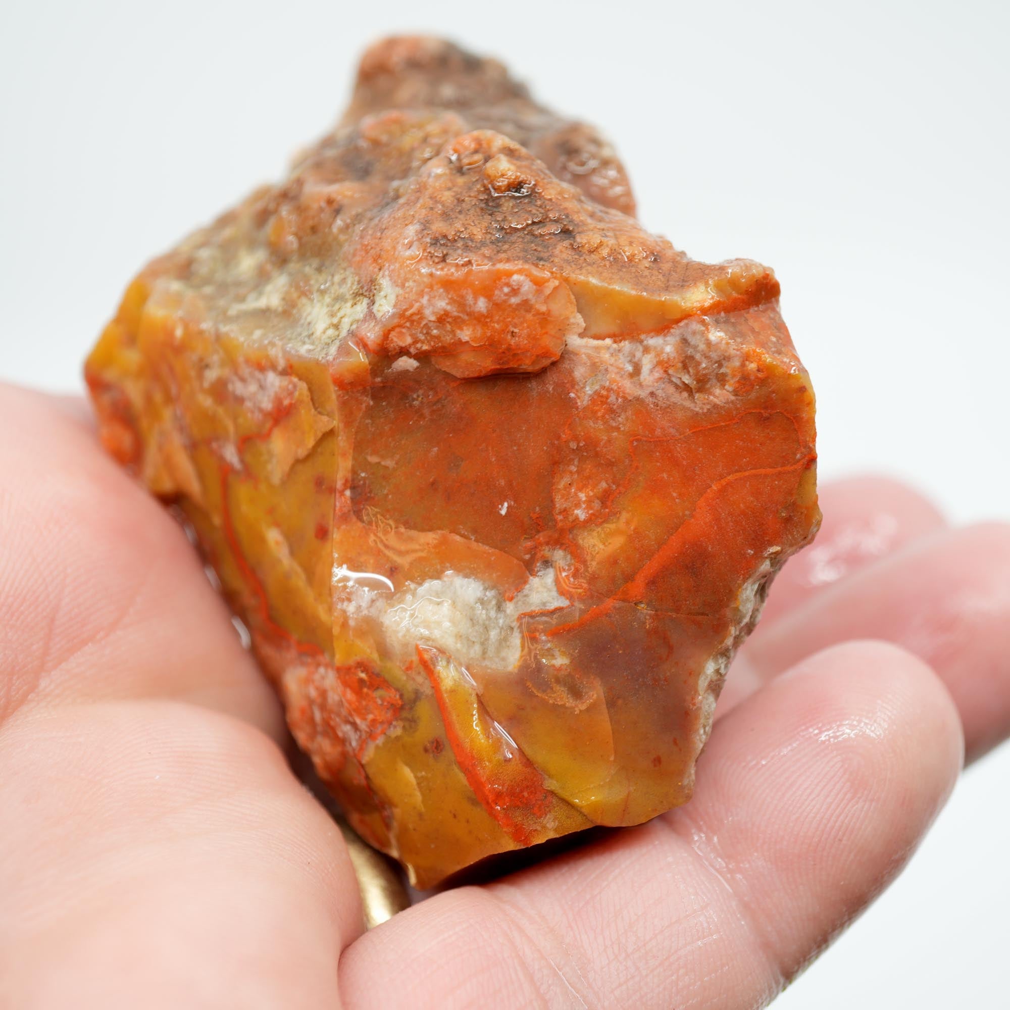 Alabama Paint Agate Rough - Creamy Butterscotch with Carey-Like Red Waves