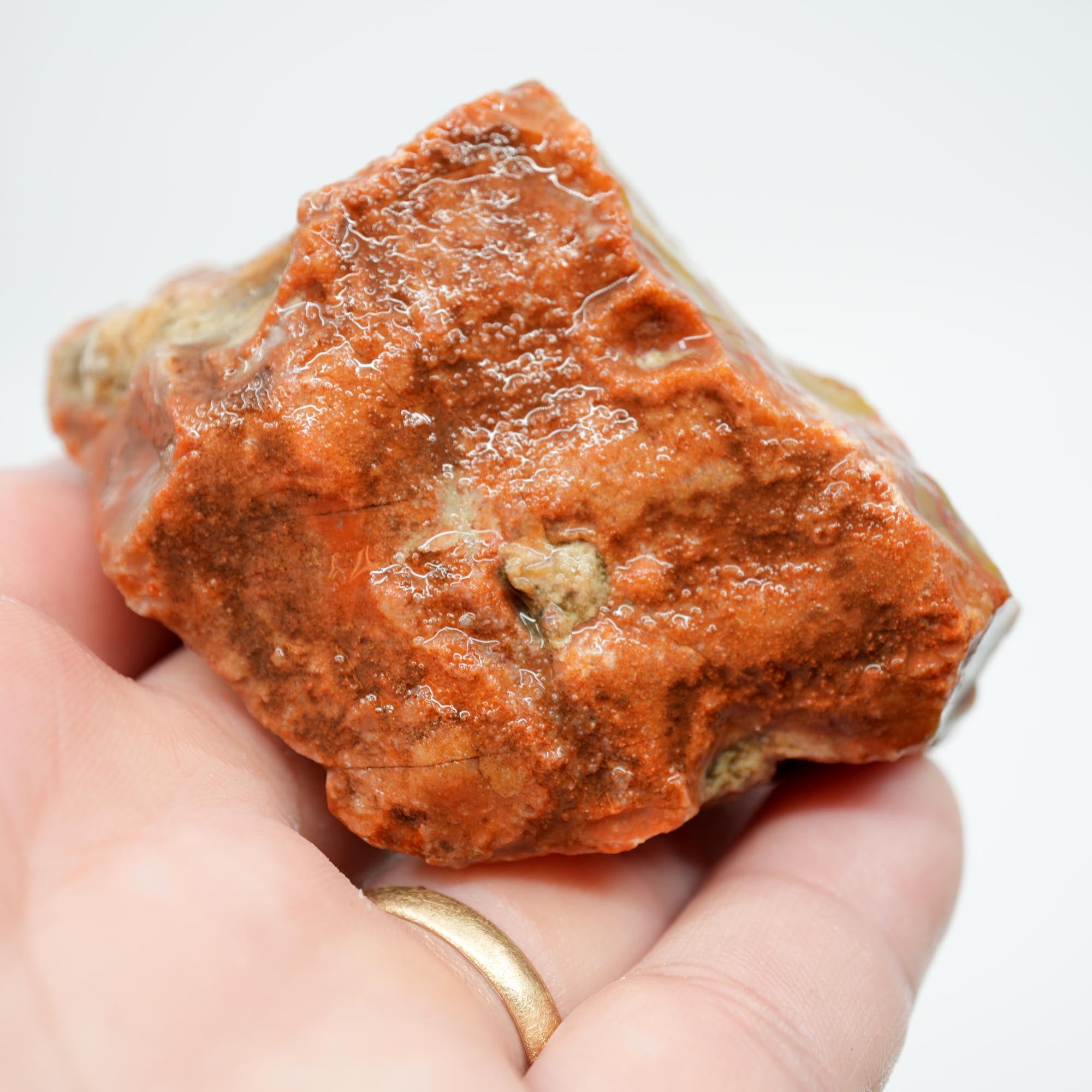 Alabama Paint Agate Rough - Creamy Butterscotch with Carey-Like Red Waves