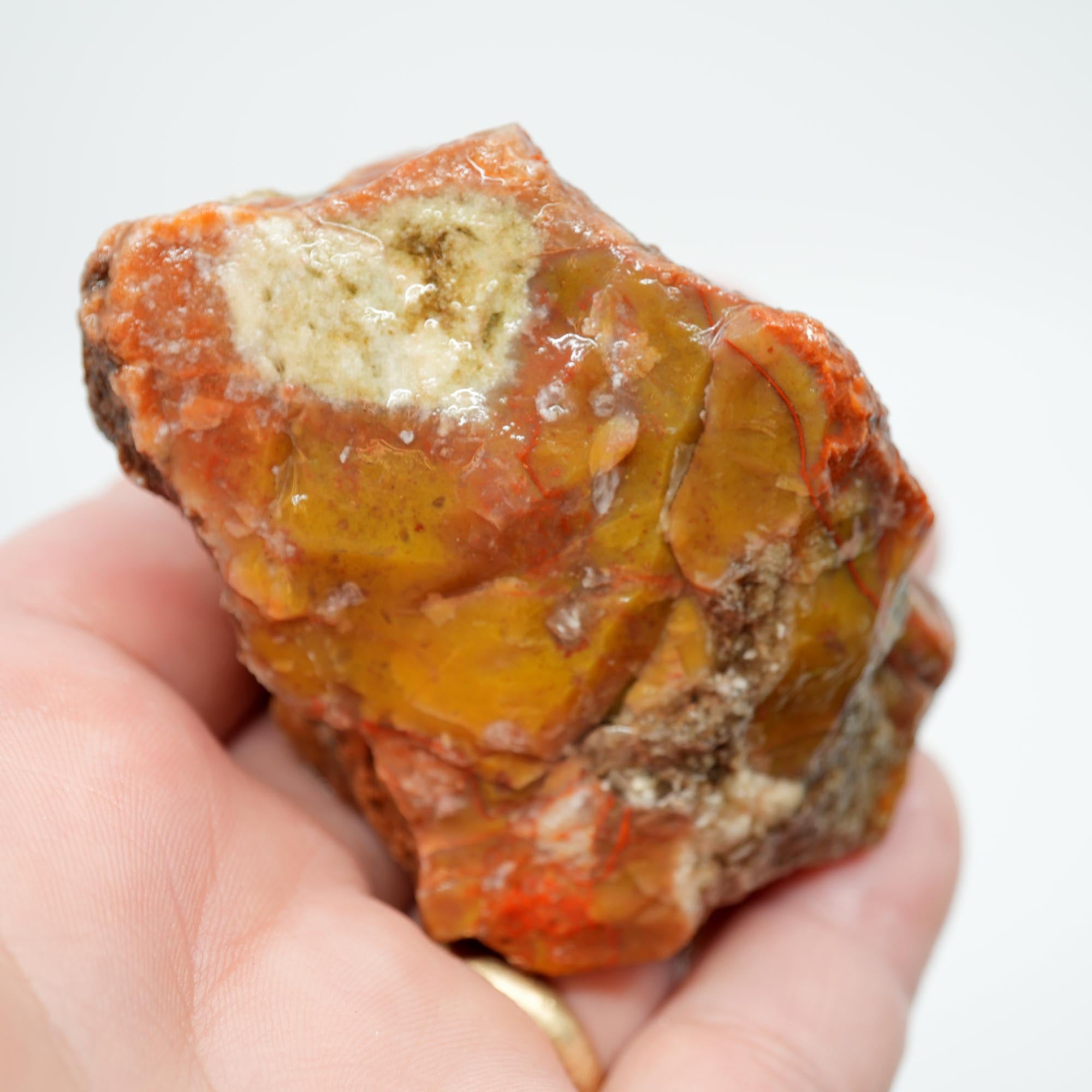 Alabama Paint Agate Rough - Creamy Butterscotch with Carey-Like Red Waves