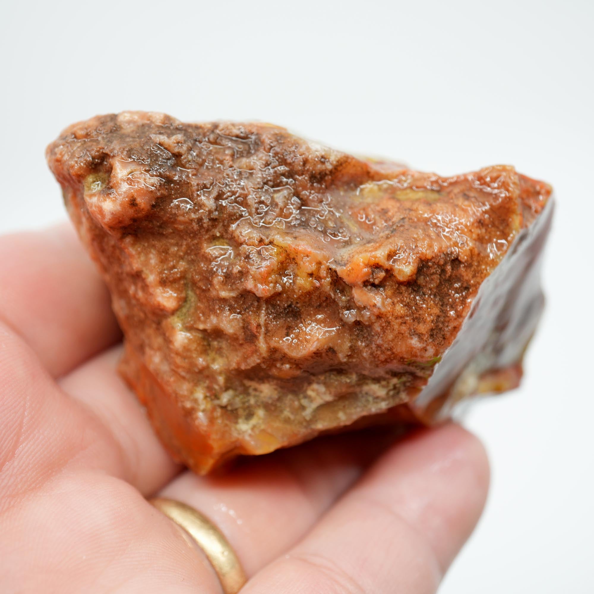 Alabama Paint Agate Rough - Creamy Butterscotch with Carey-Like Red Waves