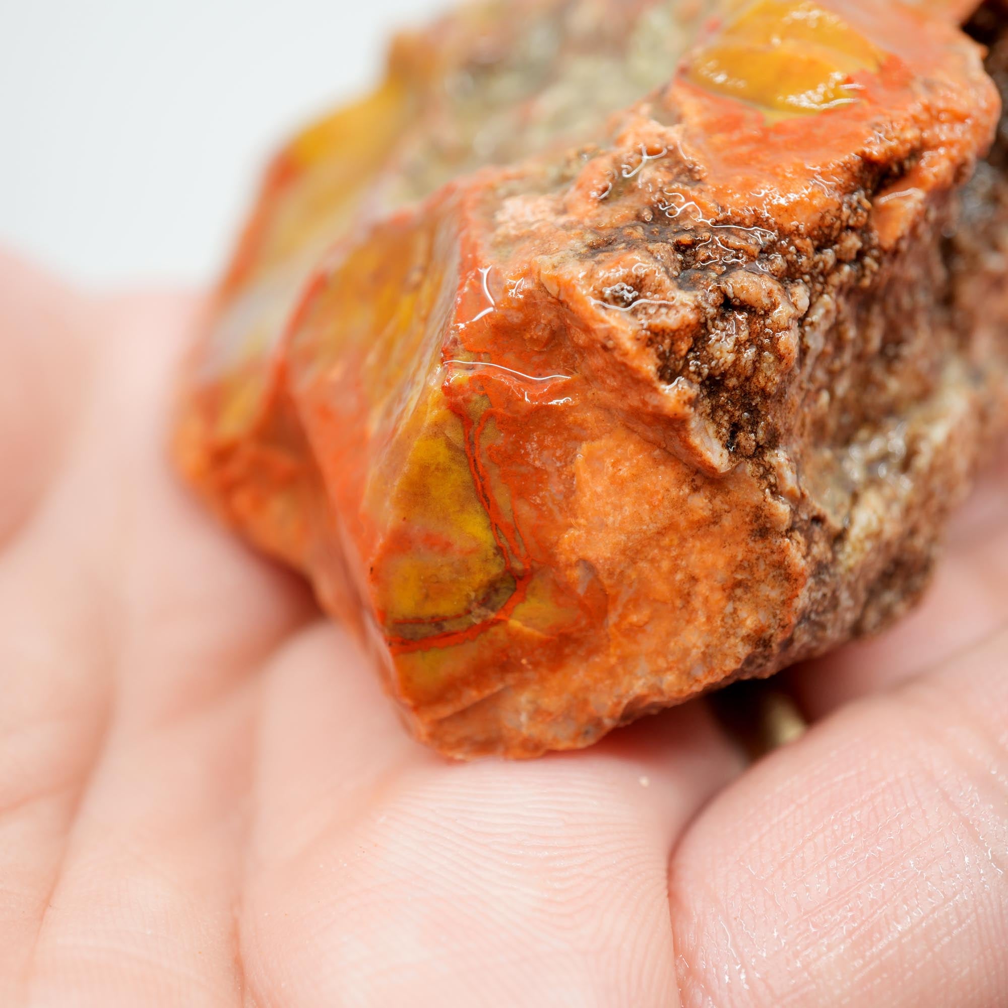 Alabama Paint Agate Rough - Creamy Butterscotch with Red Orb Lines