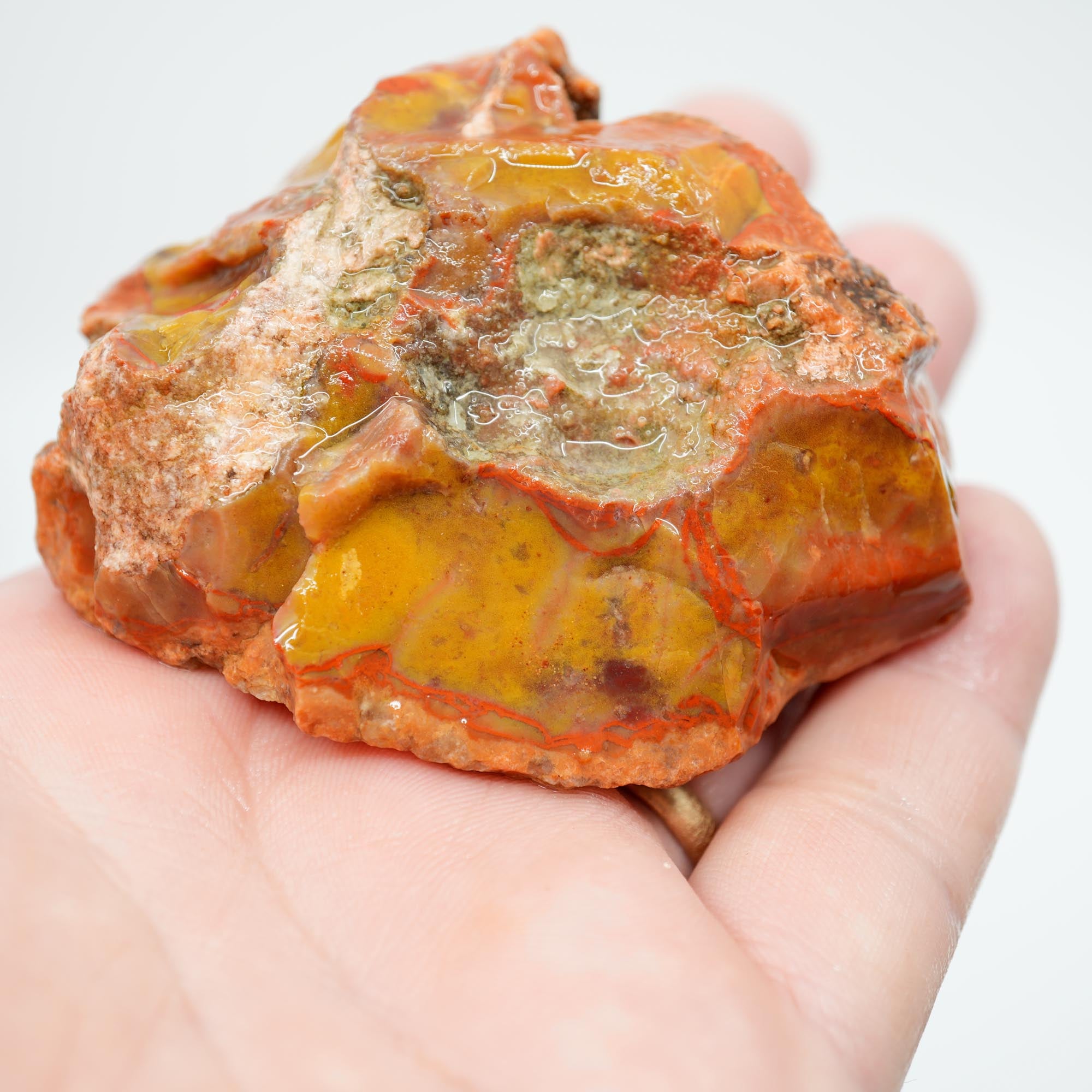 Alabama Paint Agate Rough - Creamy Butterscotch with Red Orb Lines