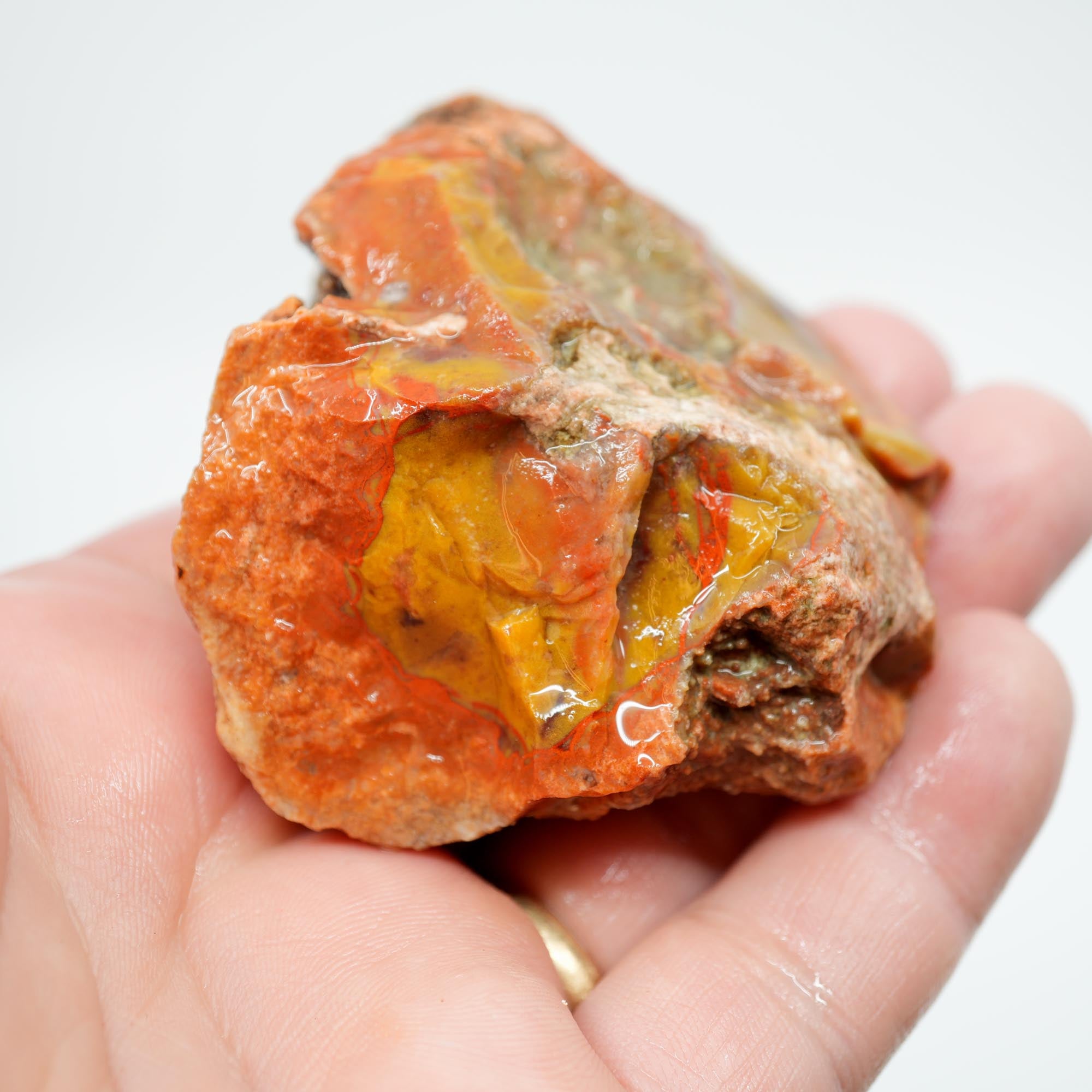 Alabama Paint Agate Rough - Creamy Butterscotch with Red Orb Lines