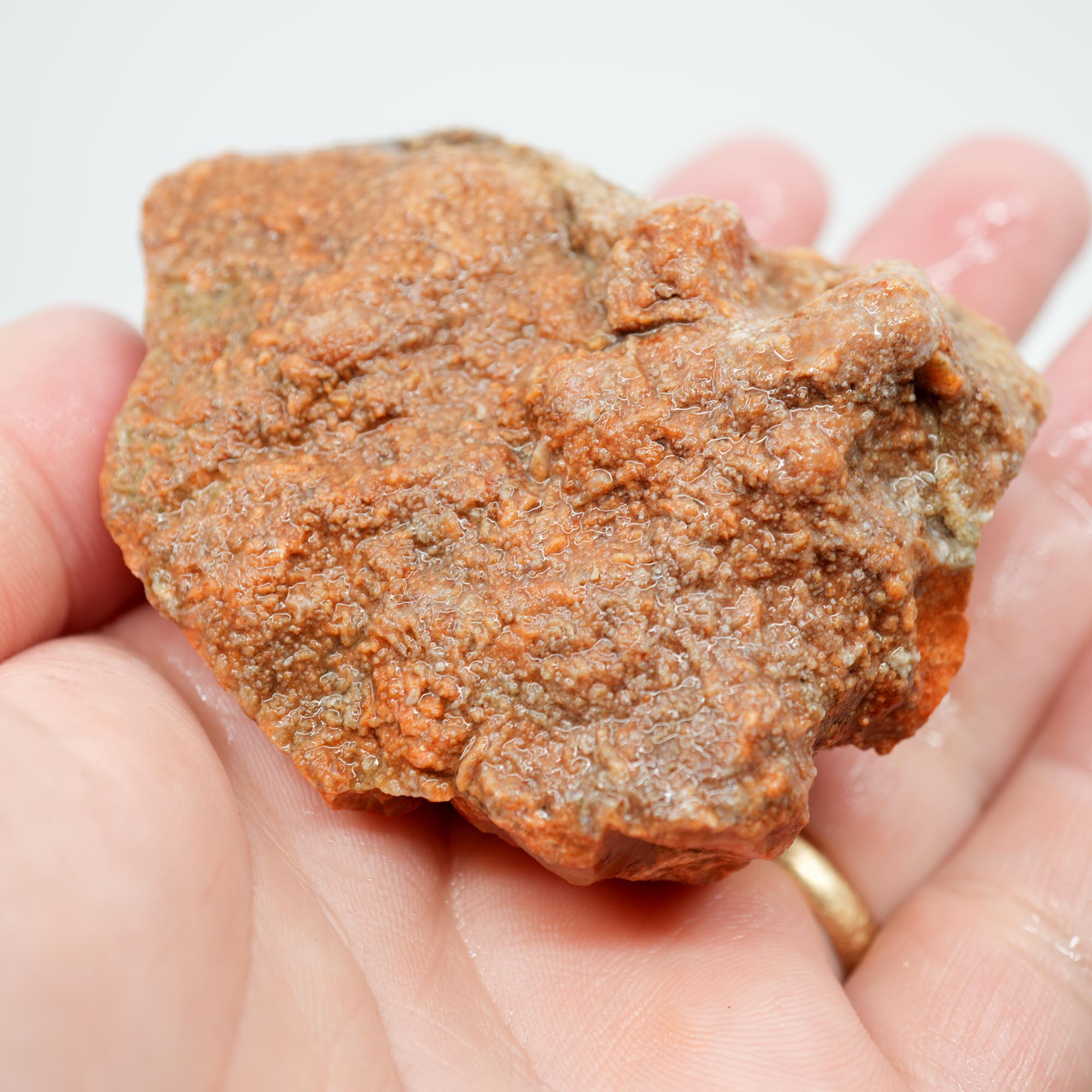 Alabama Paint Agate Rough - Creamy Butterscotch with Red Orb Lines
