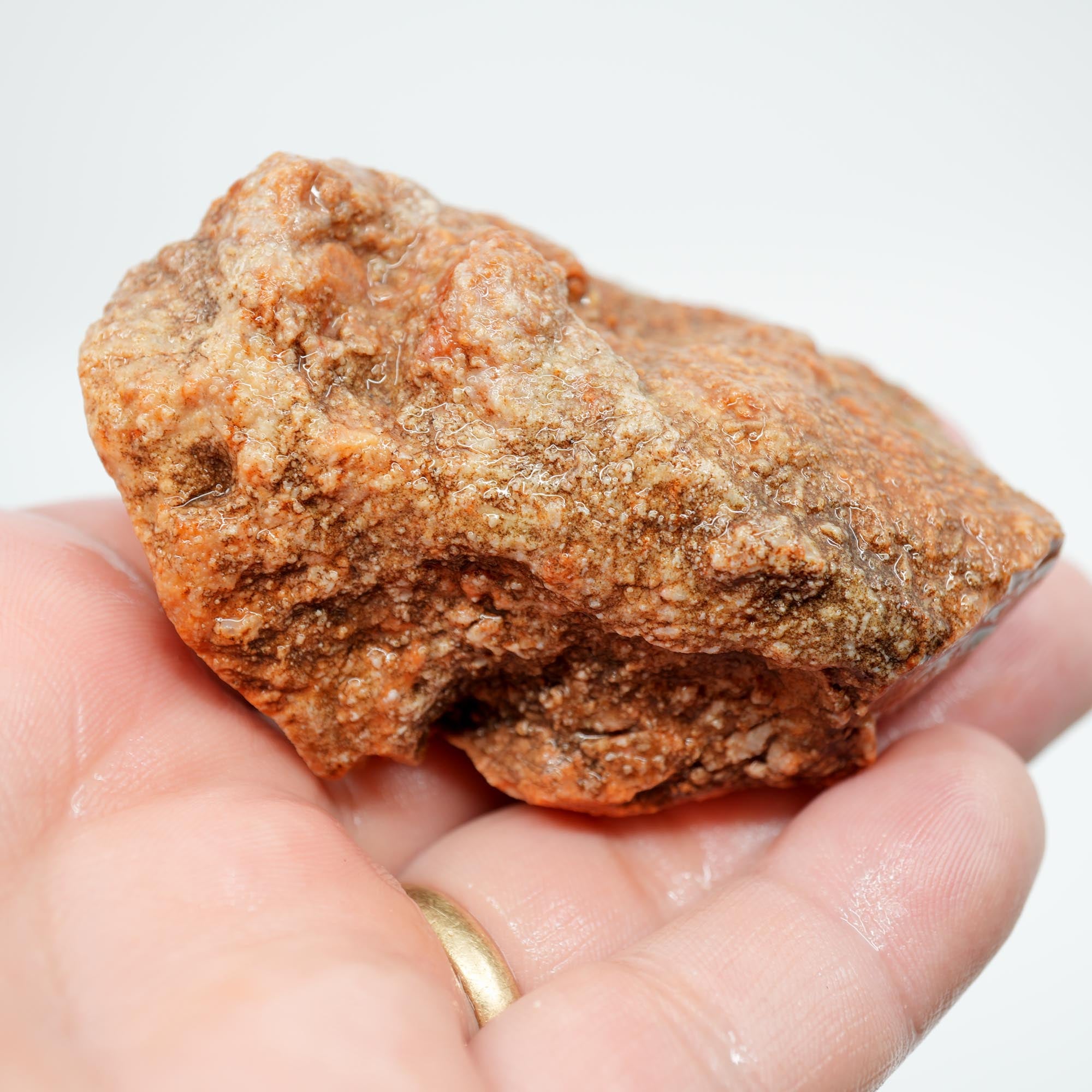 Alabama Paint Agate Rough - Creamy Butterscotch with Red Orb Lines