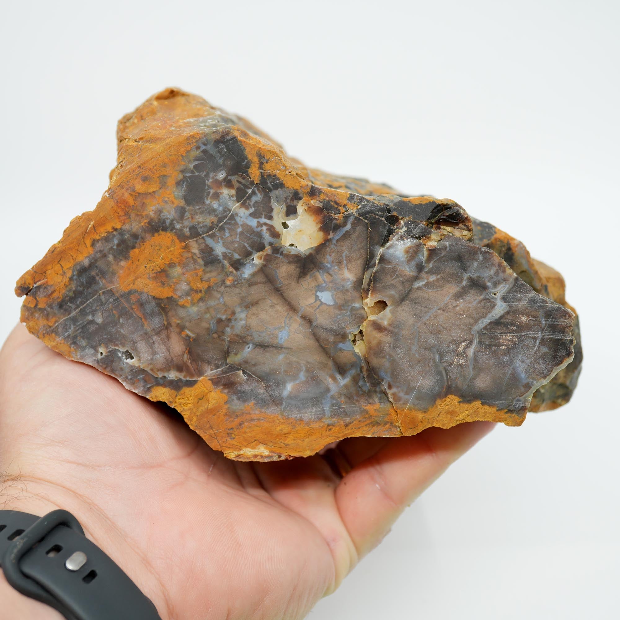 Parker Shrinkwood Cut and Proven Rough - Druzy Pockets Tower Display