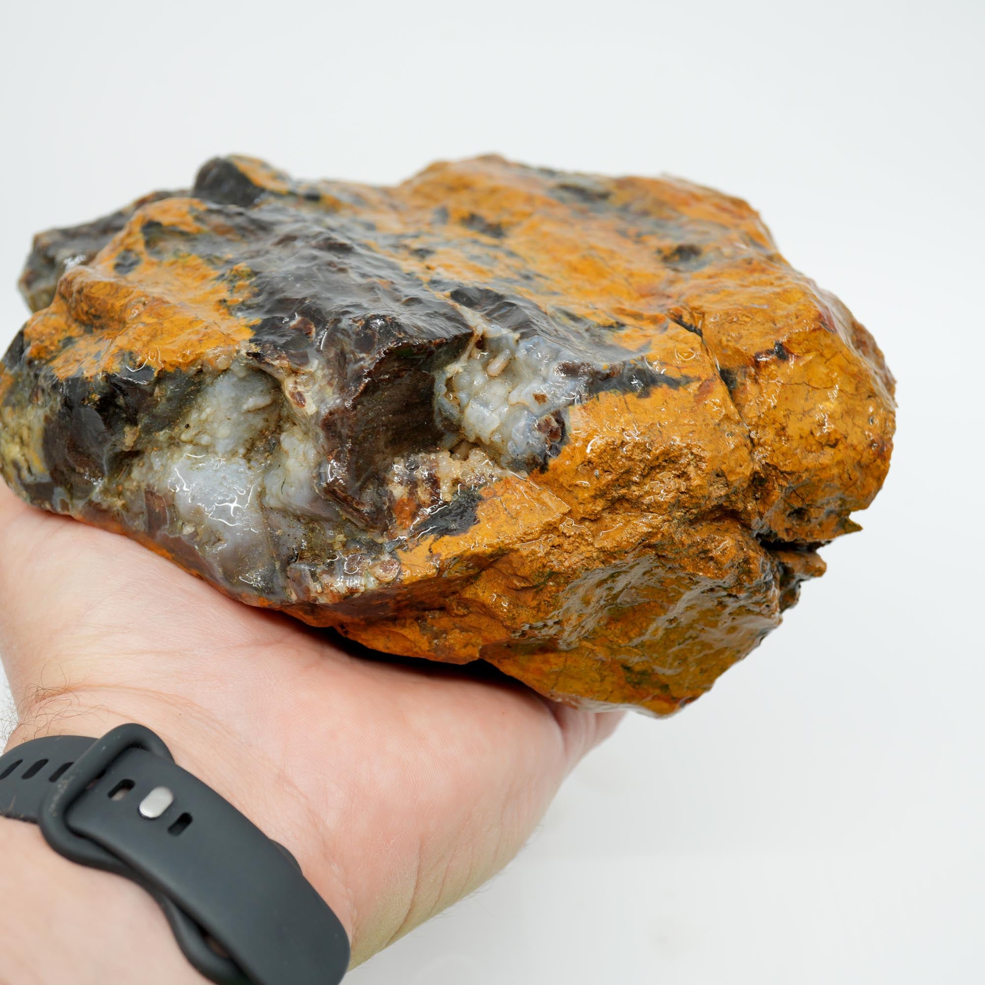 Parker Shrinkwood Cut and Proven Rough - Druzy Pockets Tower Display
