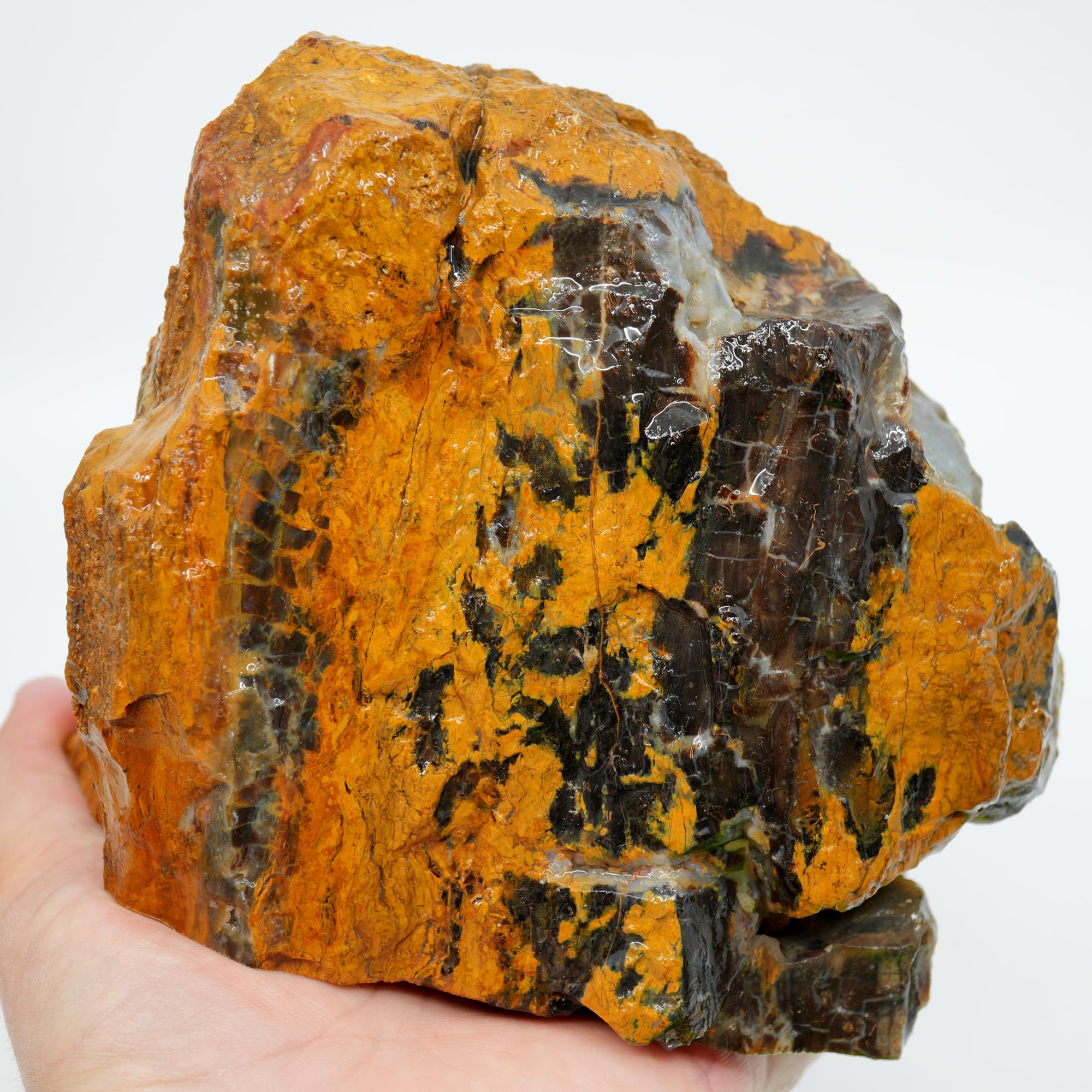 Parker Shrinkwood Cut and Proven Rough - Druzy Pockets Tower Display