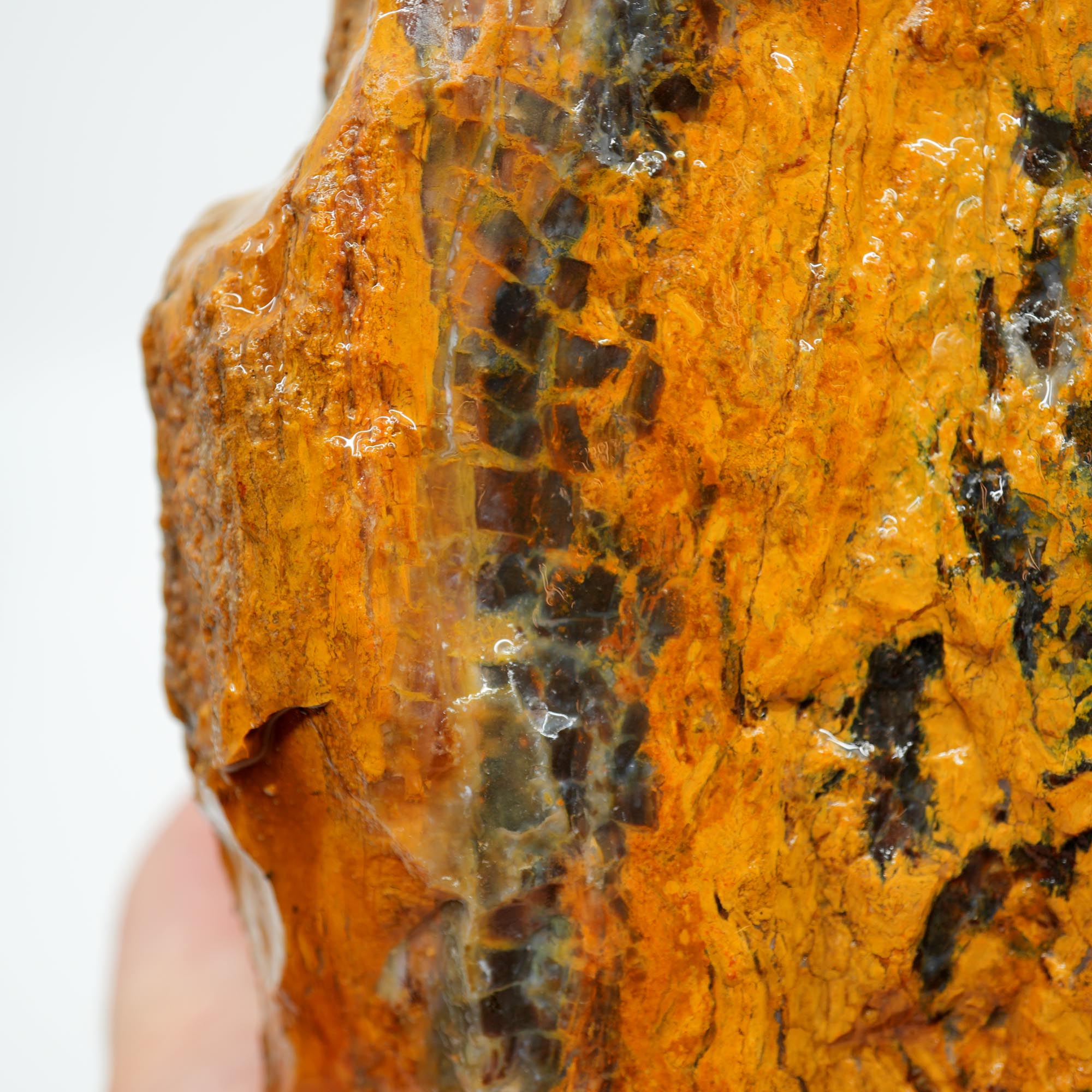 Parker Shrinkwood Cut and Proven Rough - Druzy Pockets Tower Display