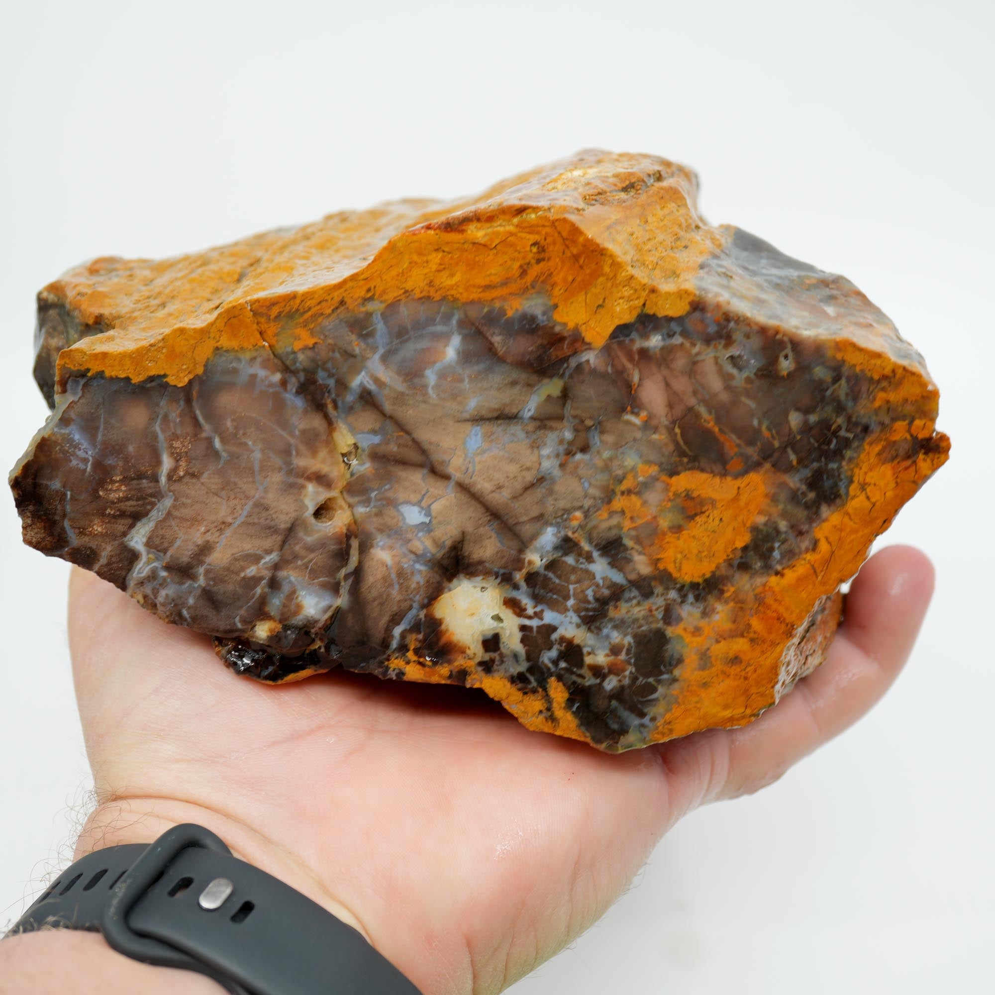 Parker Shrinkwood Cut and Proven Rough - Druzy Pockets Tower Display