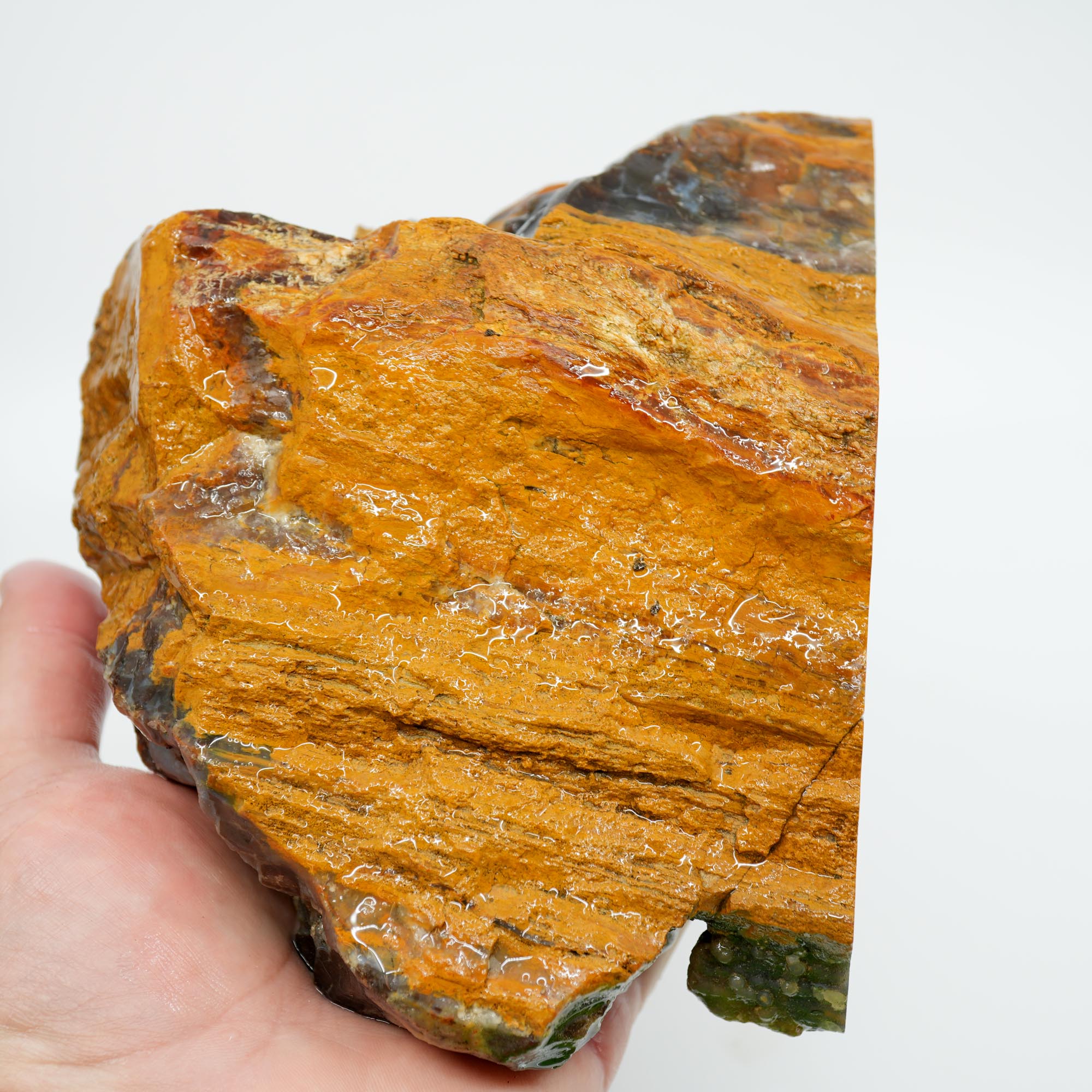 Parker Shrinkwood Cut and Proven Rough - Druzy Pockets Tower Display