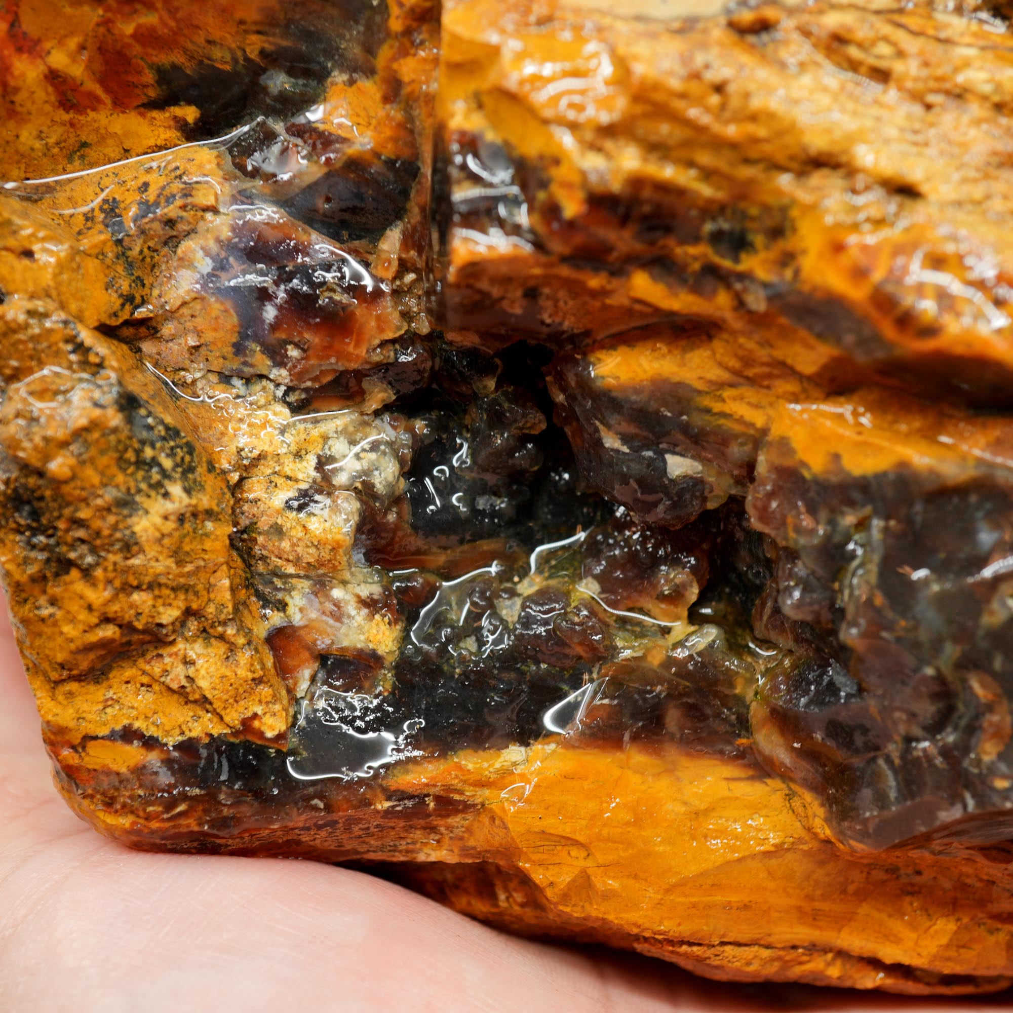 Parker Shrinkwood Cut and Proven Rough - Druzy Pockets Tower Display
