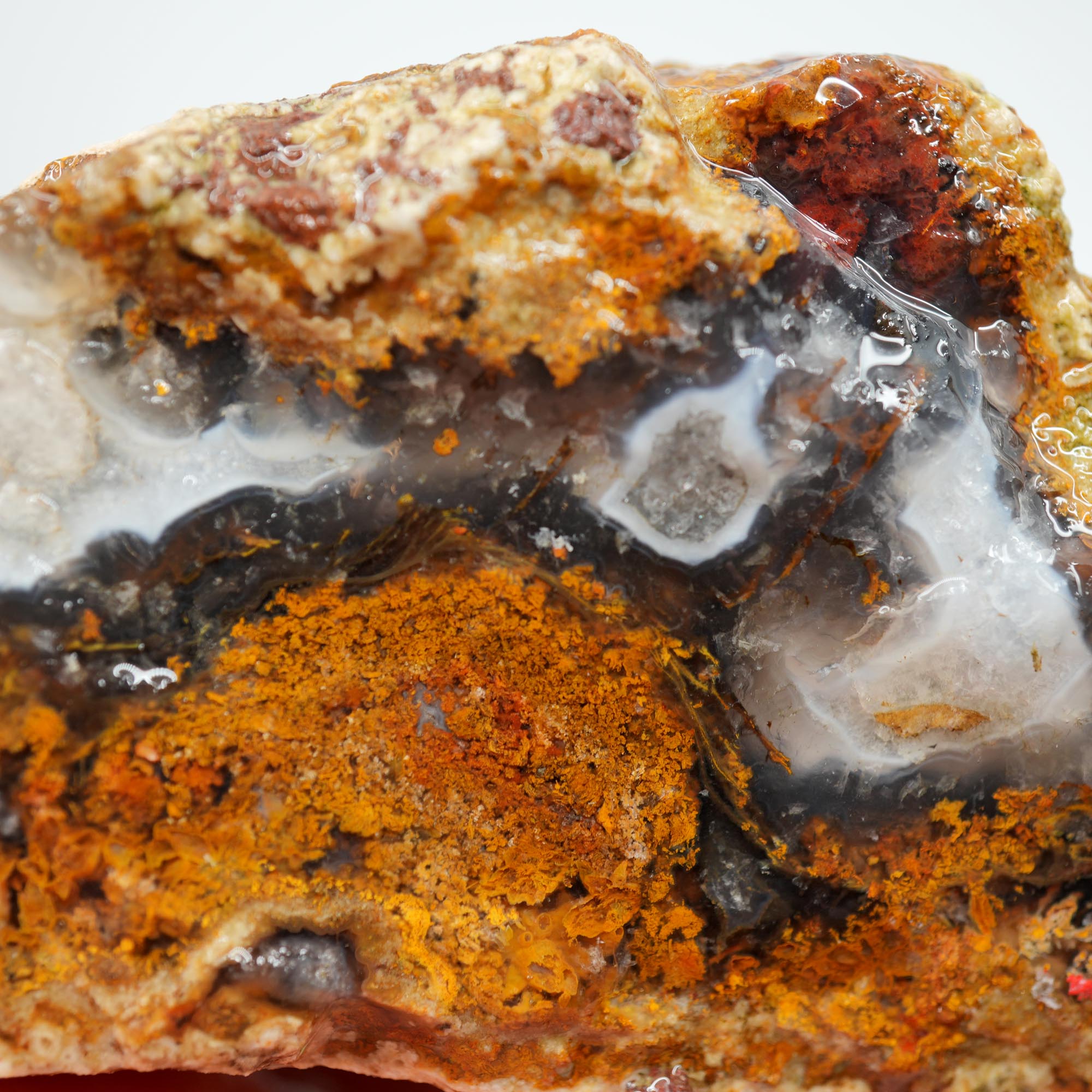 San Carlos Agate Rough - Multi-Side Red and Golden Moss Cutter