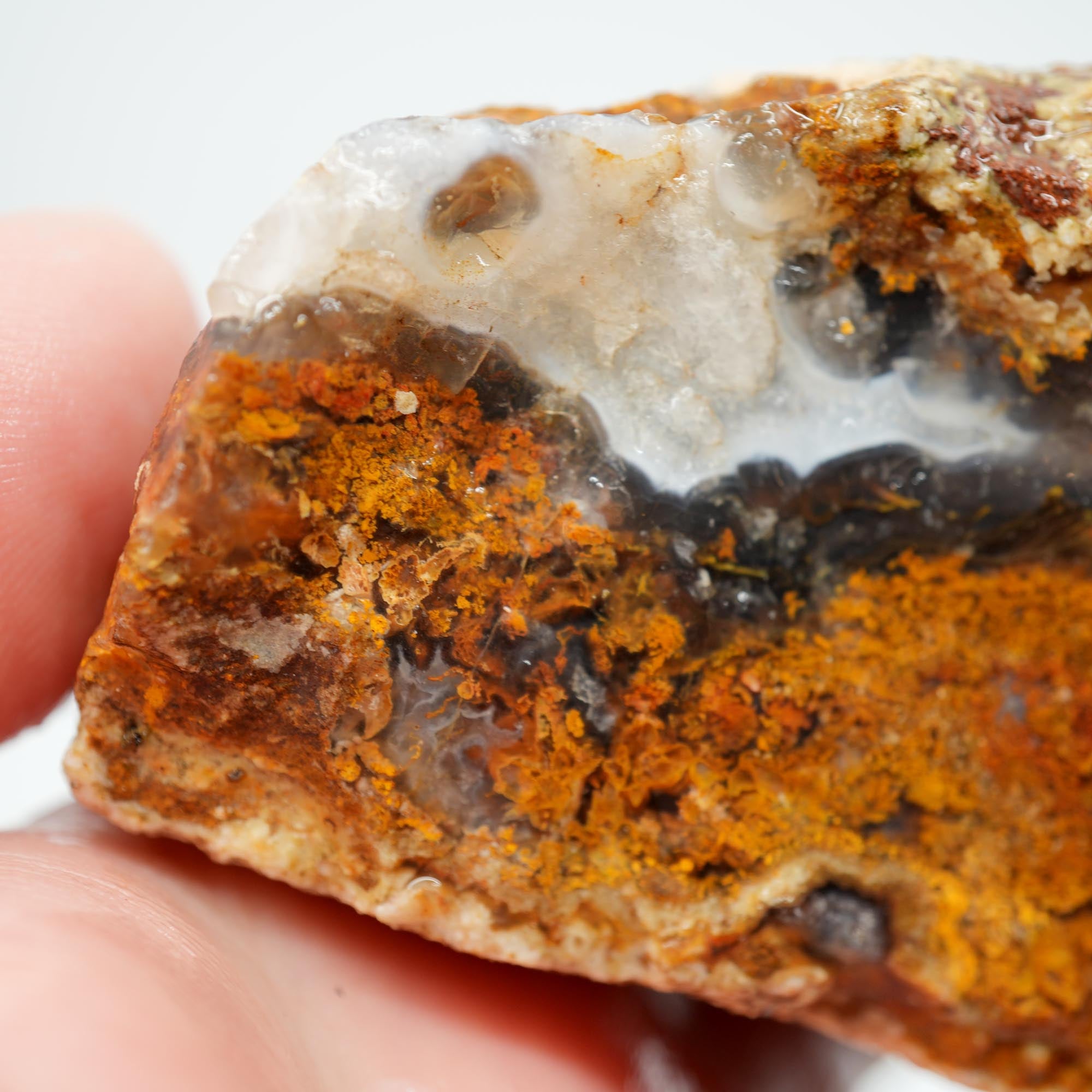 San Carlos Agate Rough - Multi-Side Red and Golden Moss Cutter