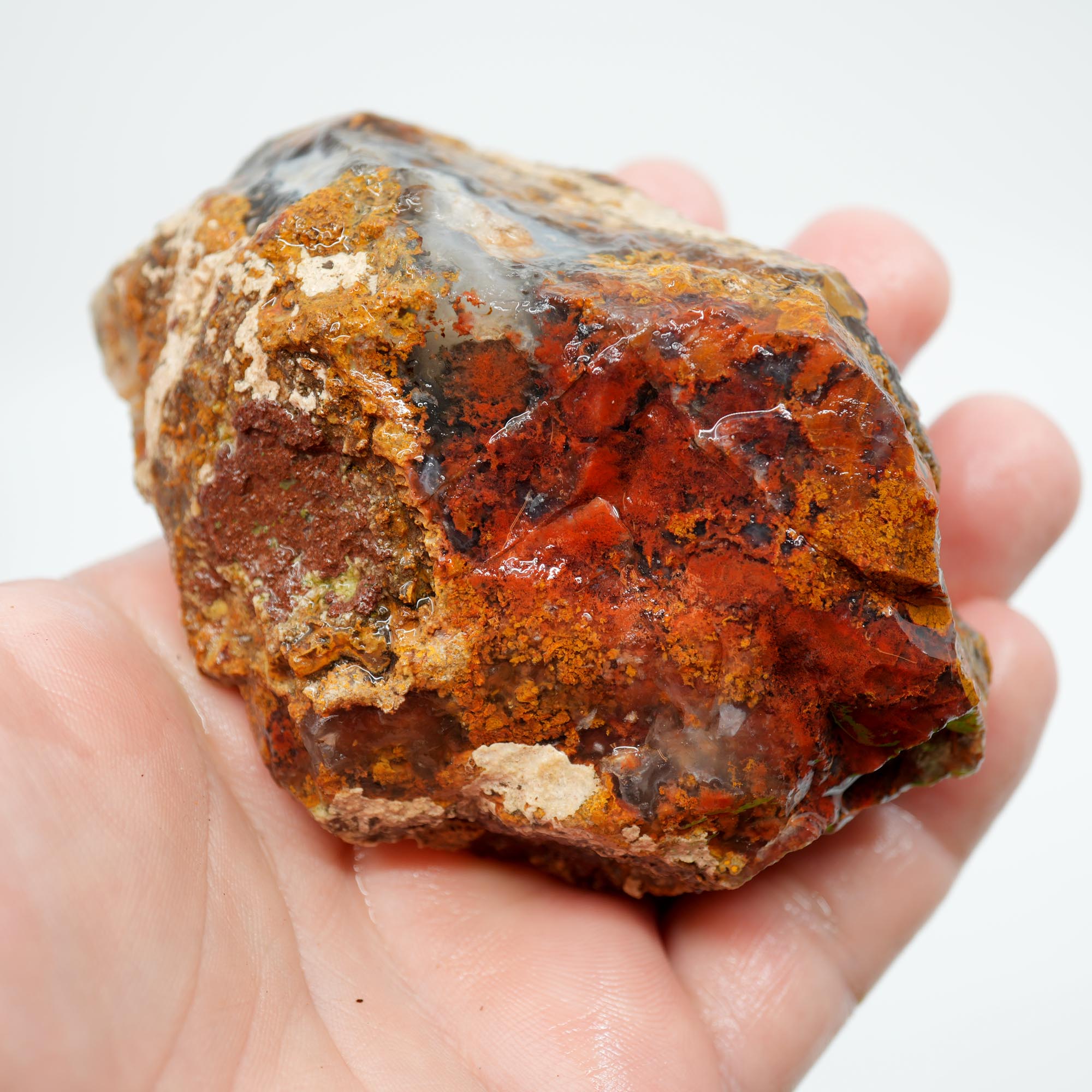 San Carlos Agate Rough - Multi-Side Red and Golden Moss Cutter