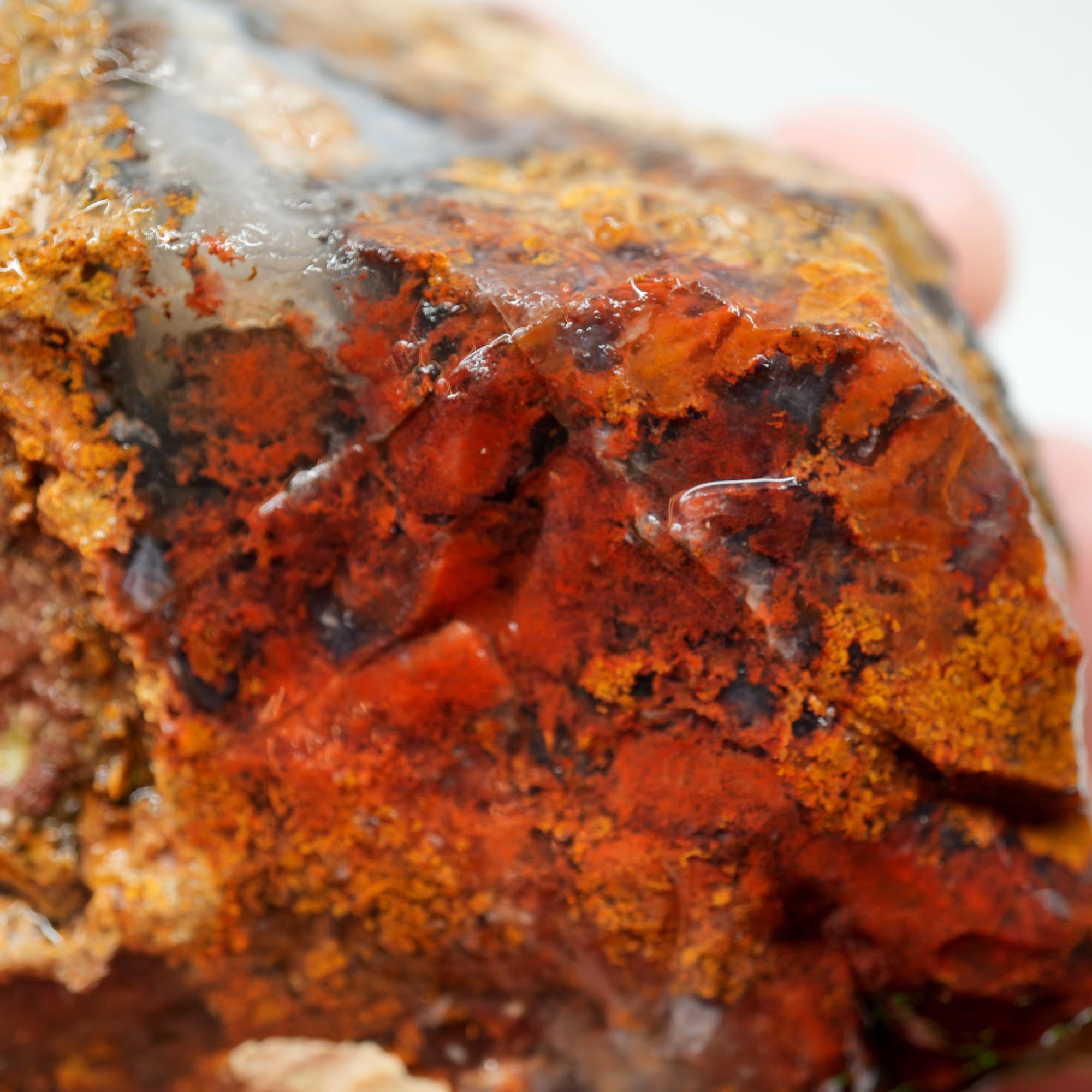 San Carlos Agate Rough - Multi-Side Red and Golden Moss Cutter